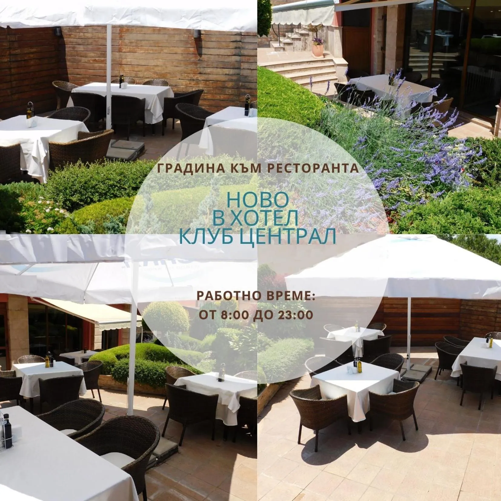 Patio in Hotel Club Central