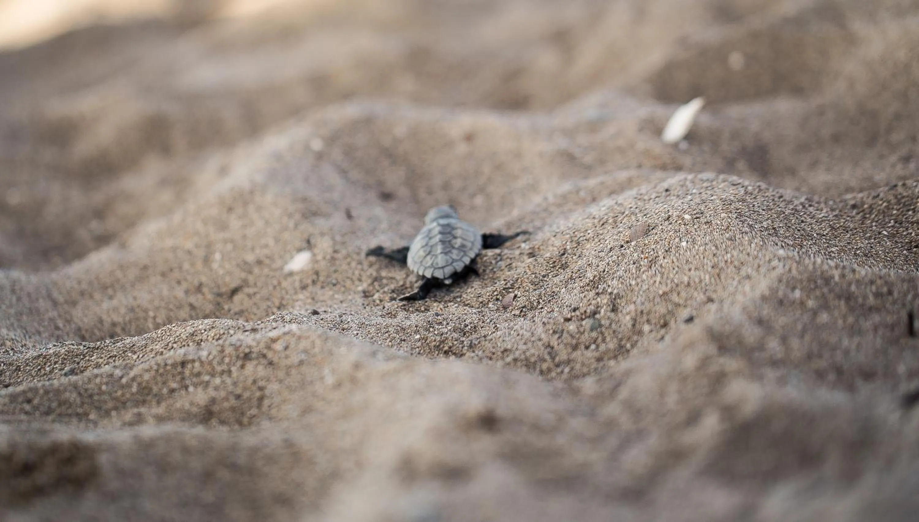 Day in Sensitive Premium Resort & Spa