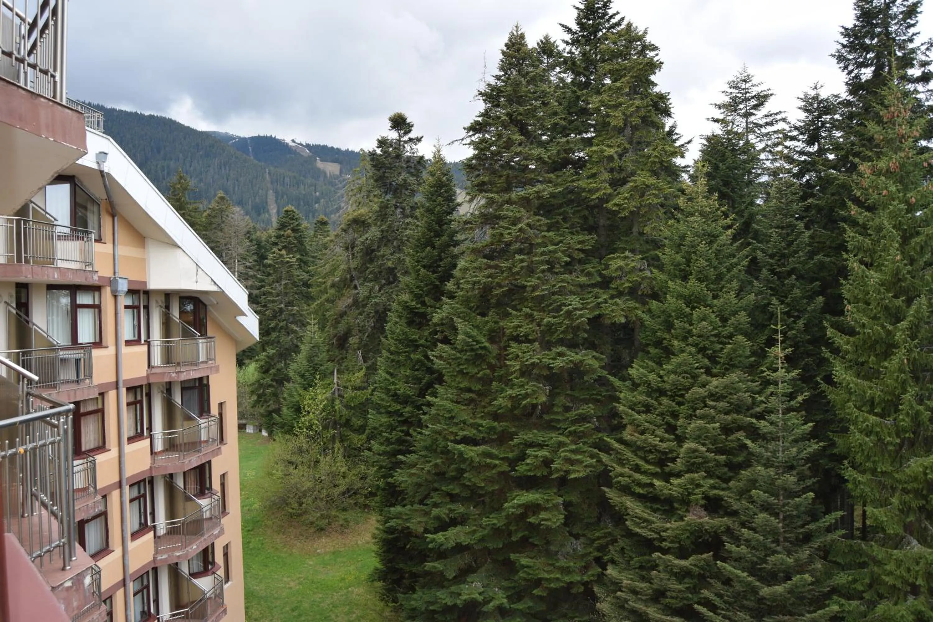 Mountain view in Persey Flora Apartments