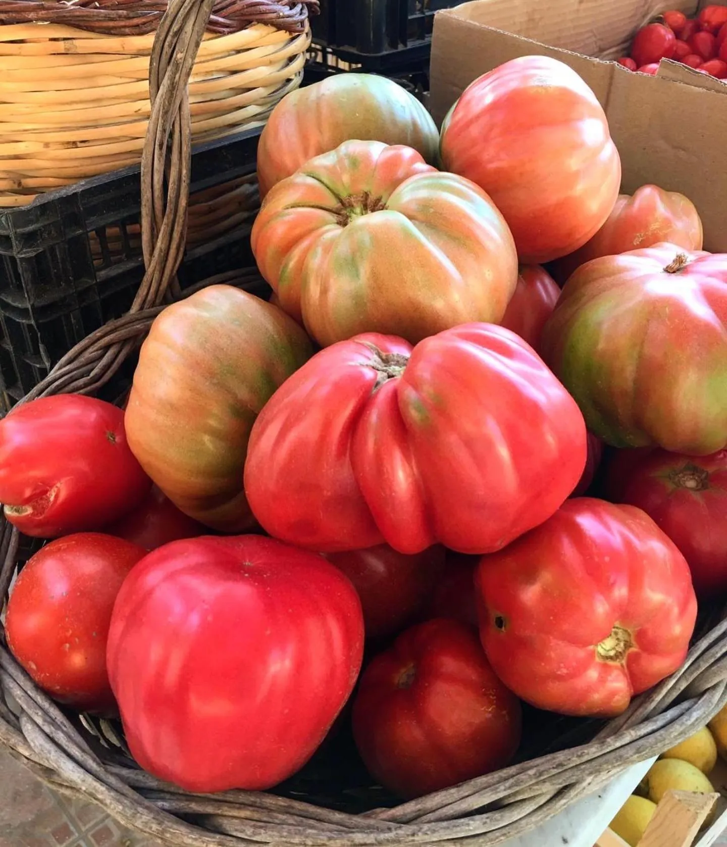 Food in Residence Villa Cristina