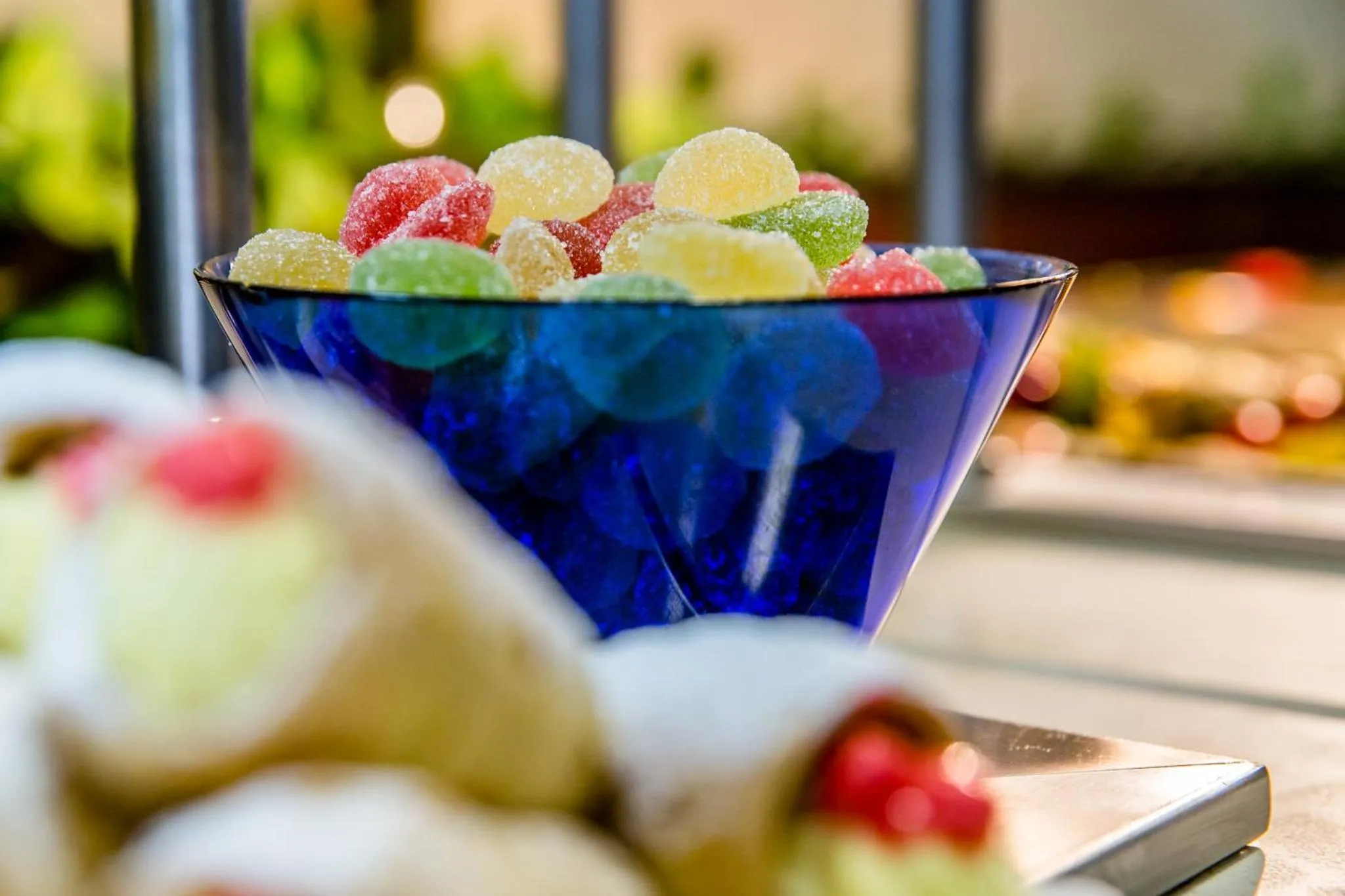 Dinner in Hotel Casa Karina Bansko - Half Board & All Inclusive