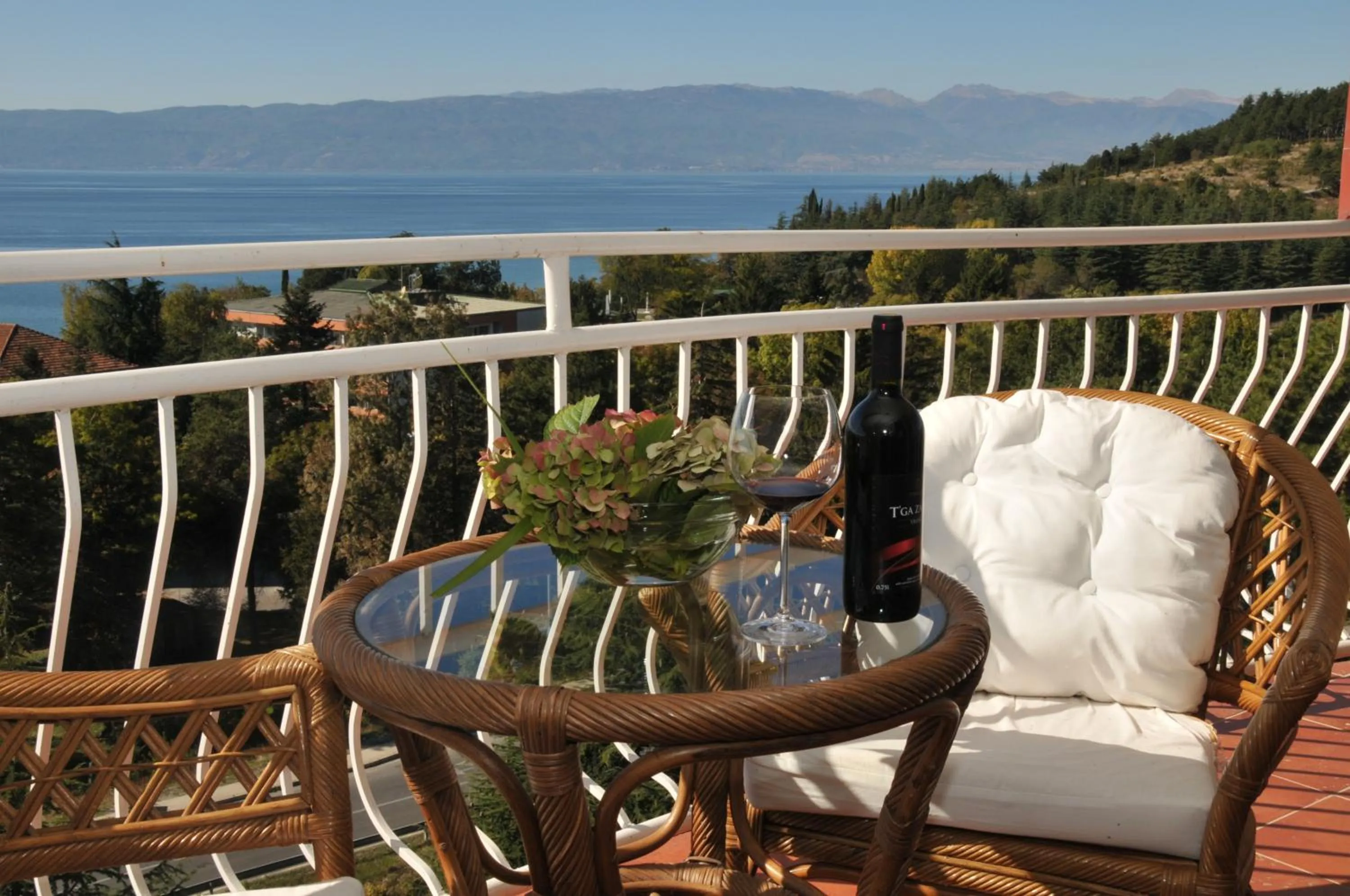 Balcony/Terrace in Hotel Belvedere