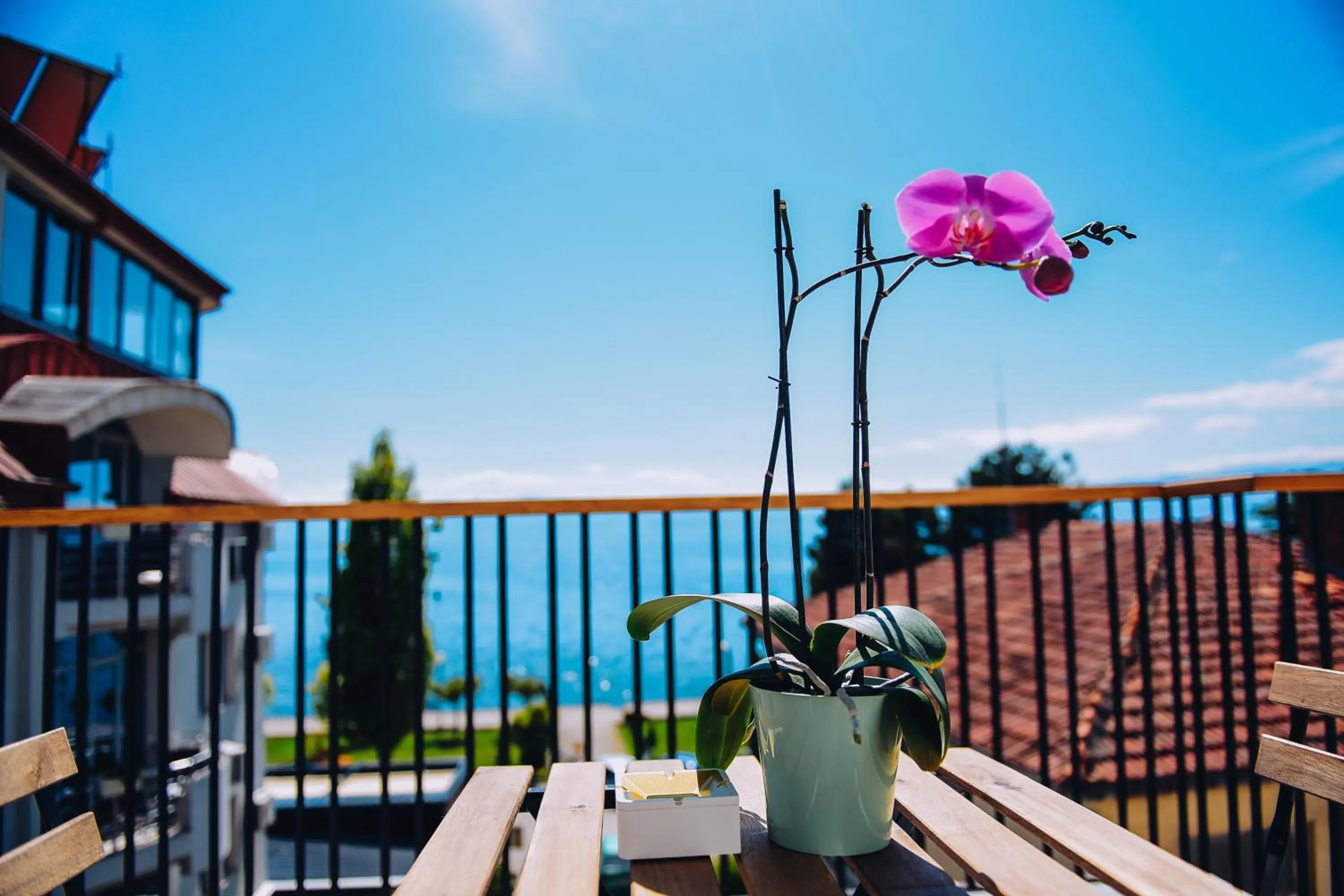 Balcony/Terrace in SU Hotel