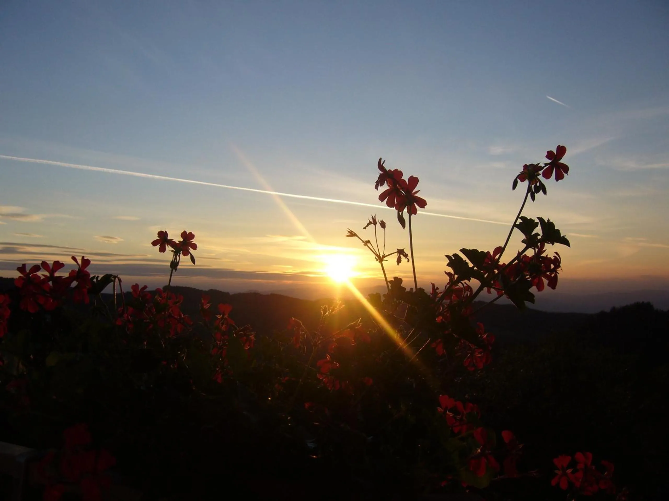 Other in Biolandhaus Arche