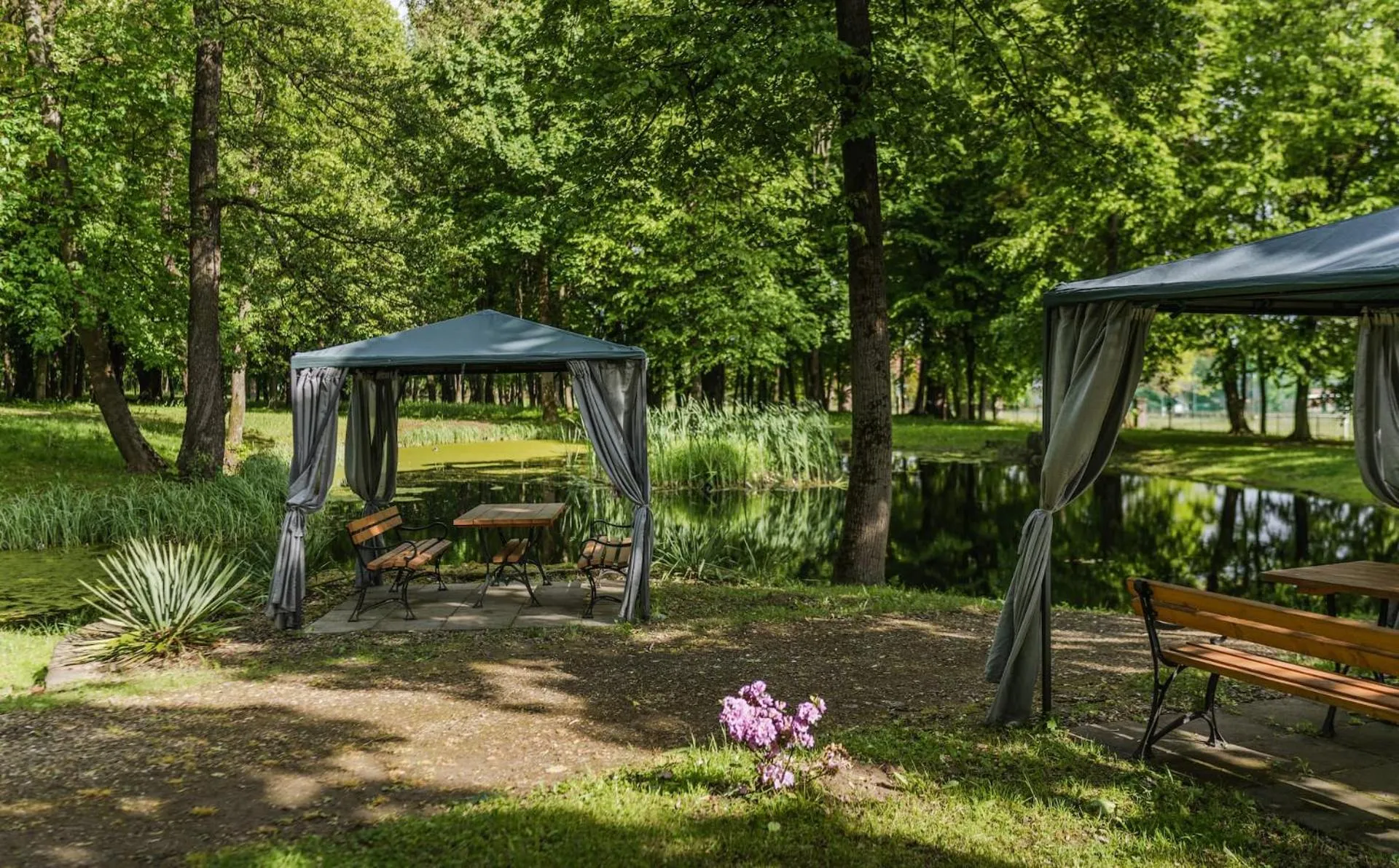 View (from property/room) in Dwór Kombornia Hotel&SPA