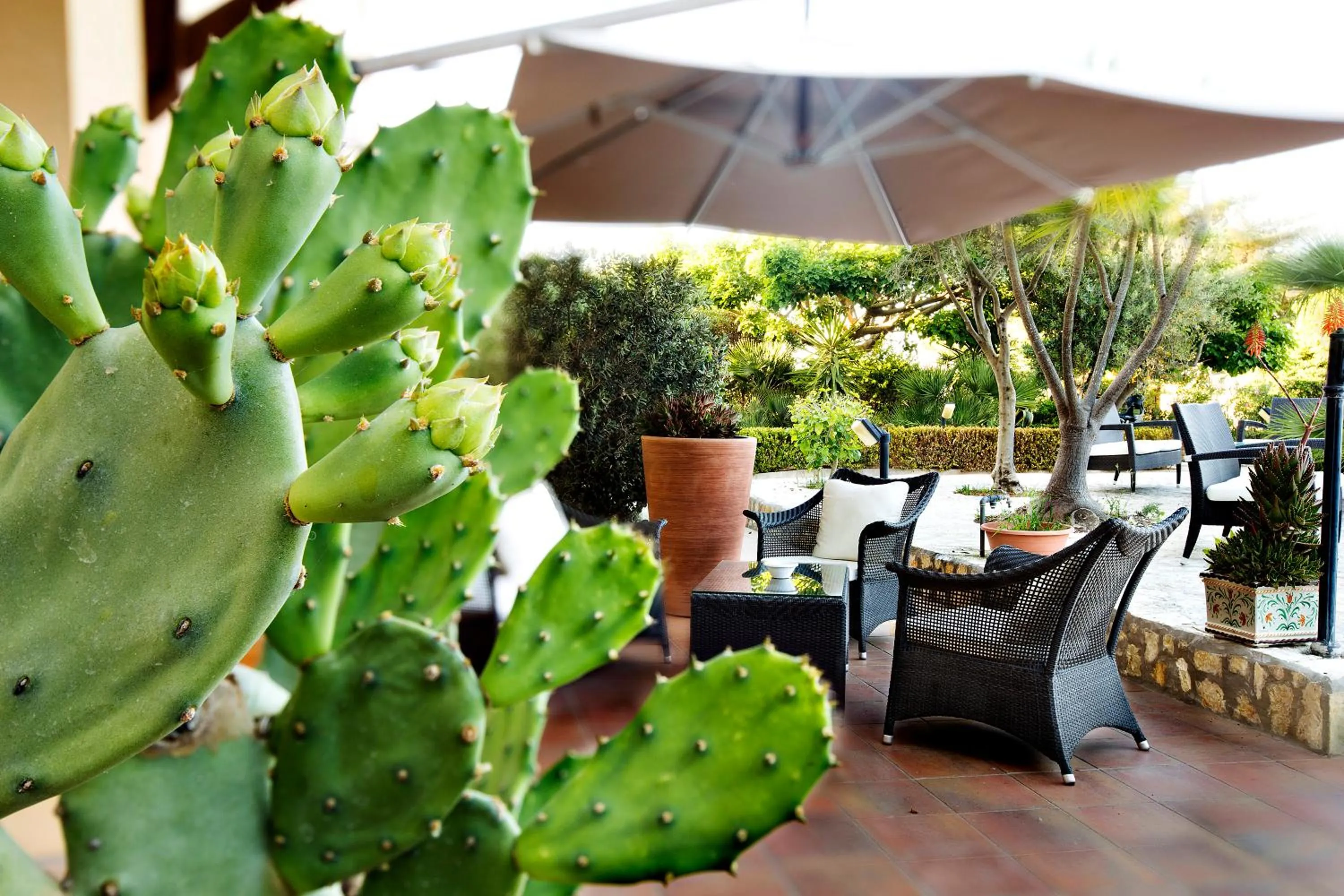 Garden in FAVIGNANA HOTEL Concept Holiday