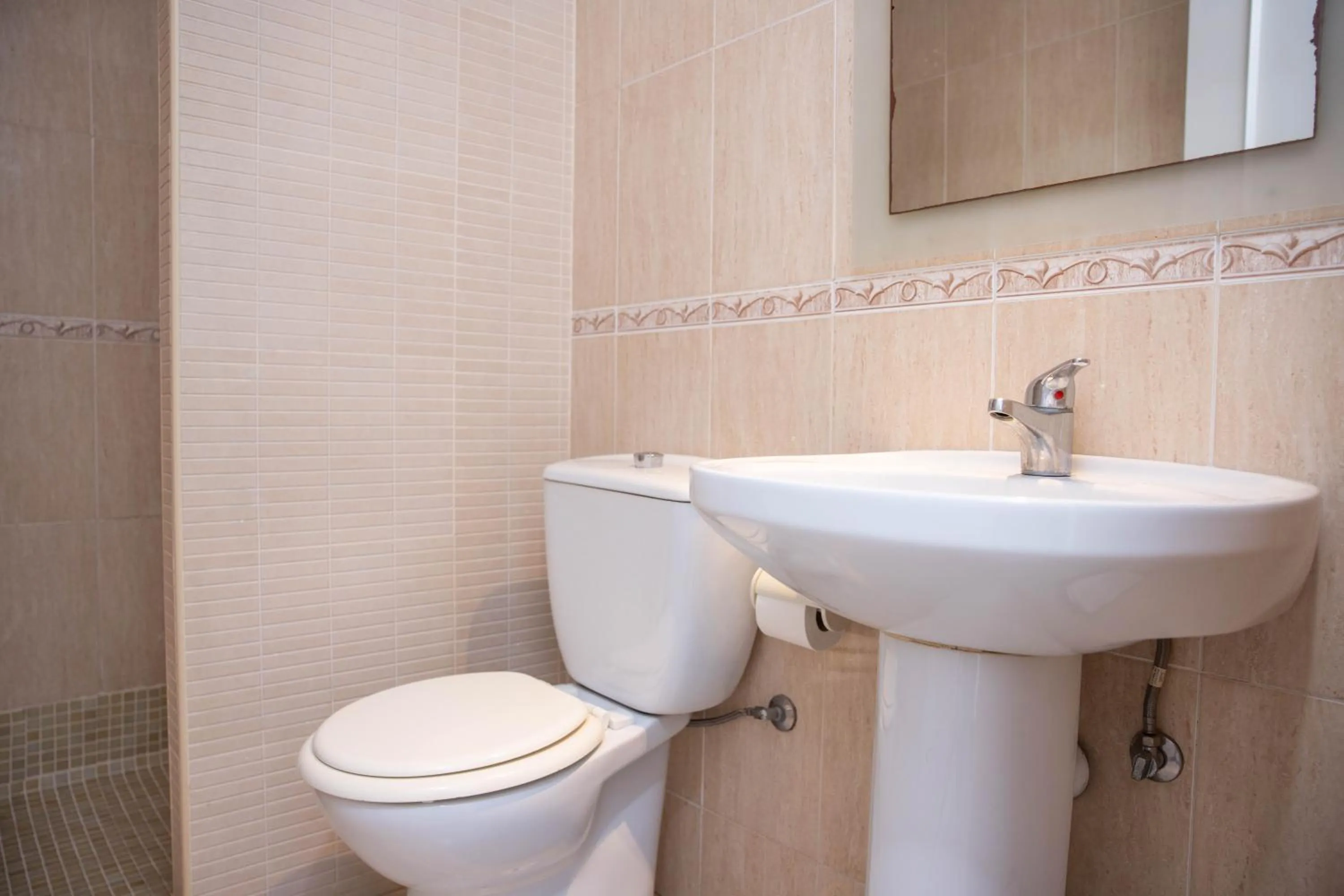 Toilet in RVApartaments Club Torrevella