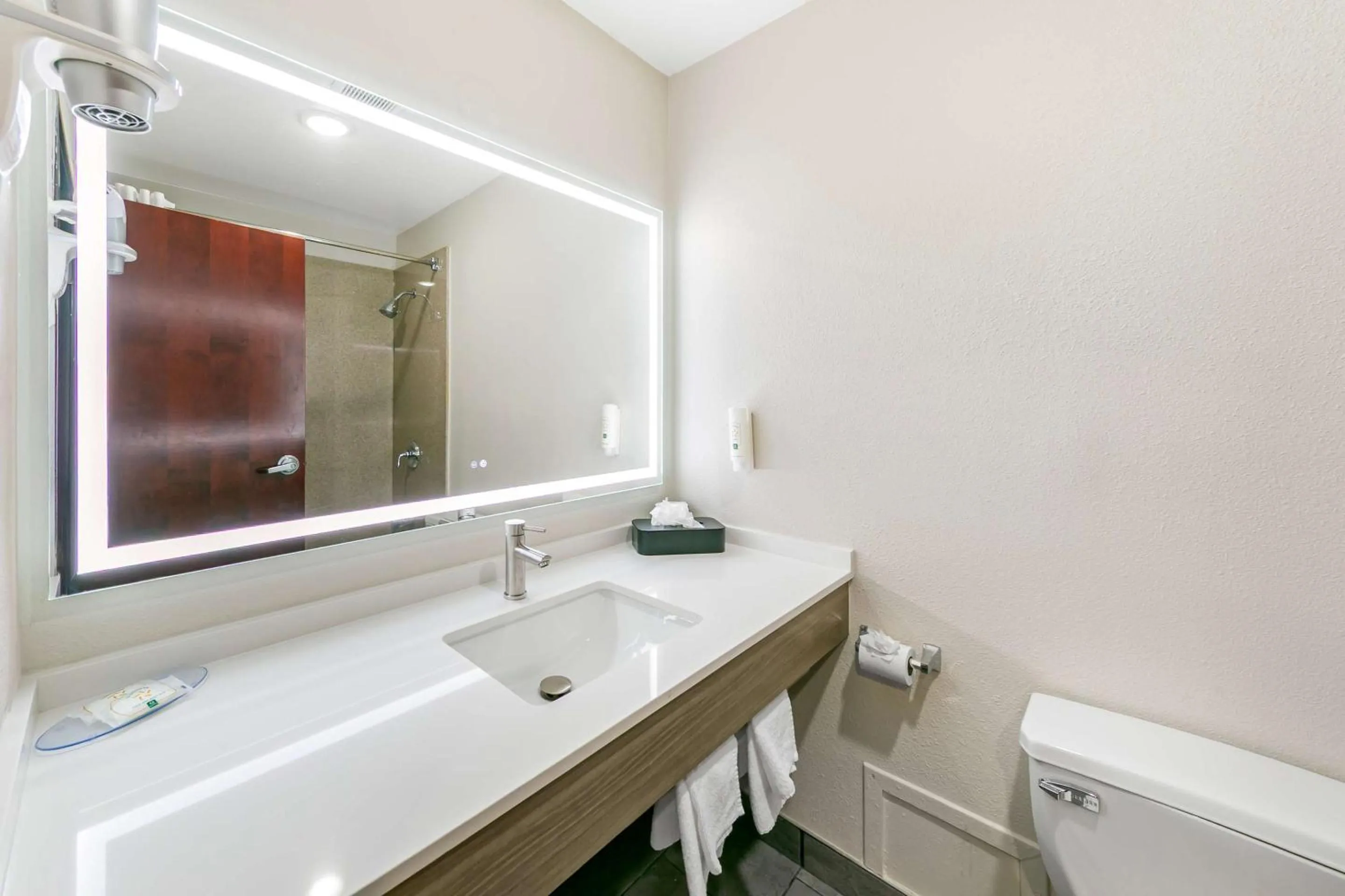 Bedroom in Quality Inn & Suites Sacramento Downtown Area