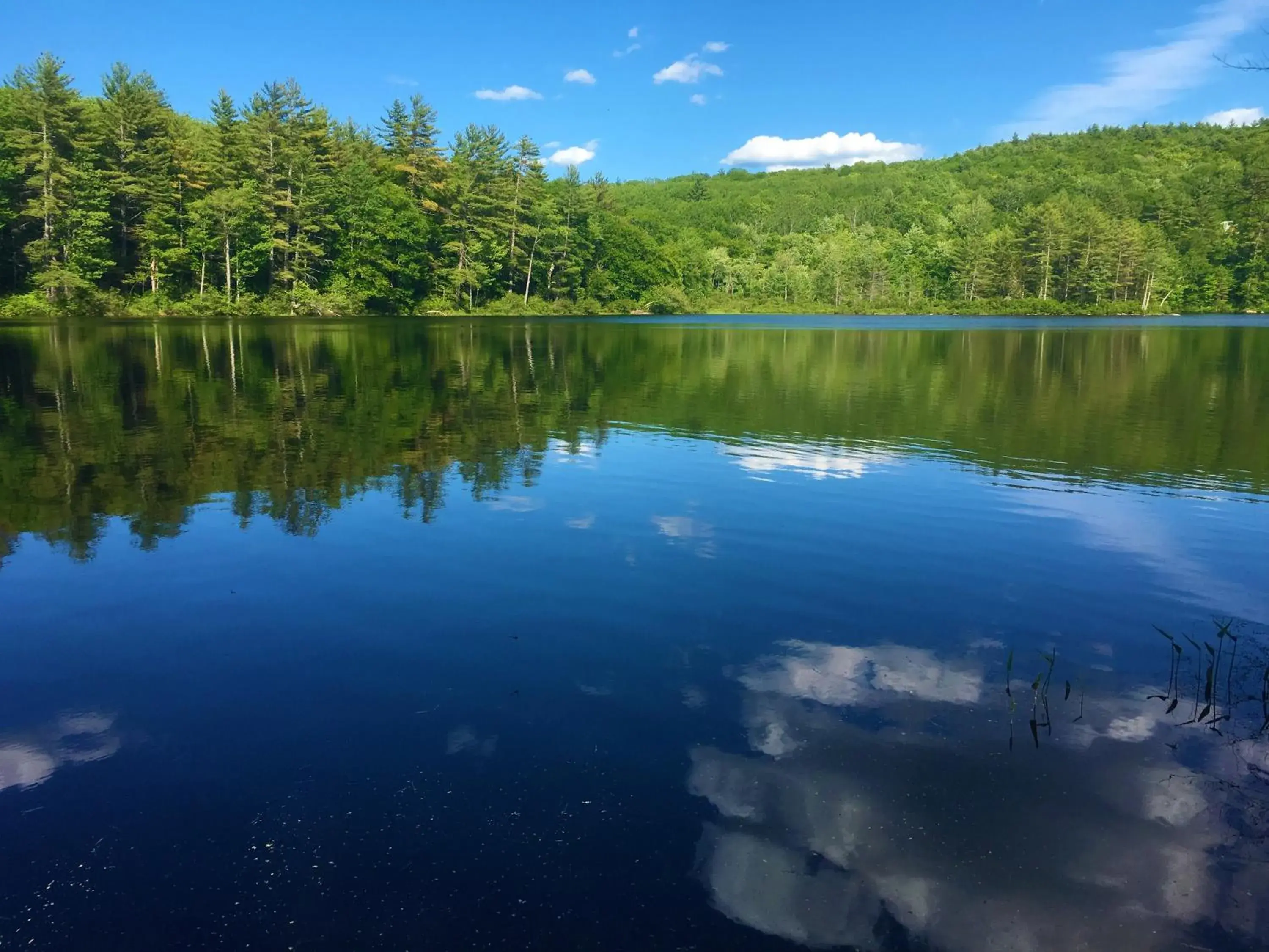 Fishing in Center Lovell Inn Fishing in Center Lovell Inn
