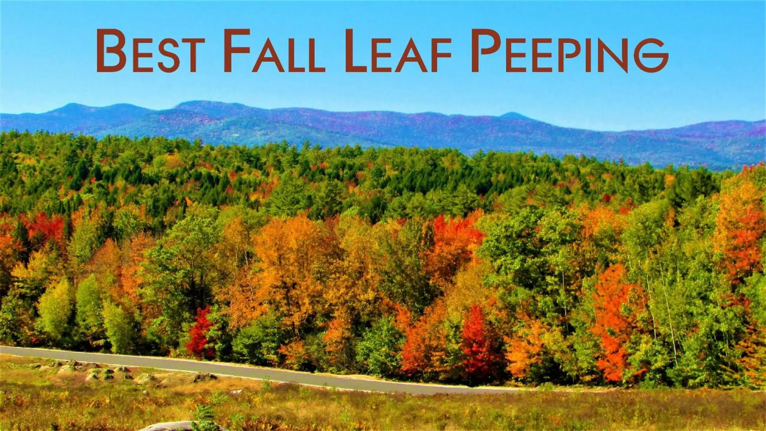 View (from property/room) in Center Lovell Inn View (from property/room) in Center Lovell Inn