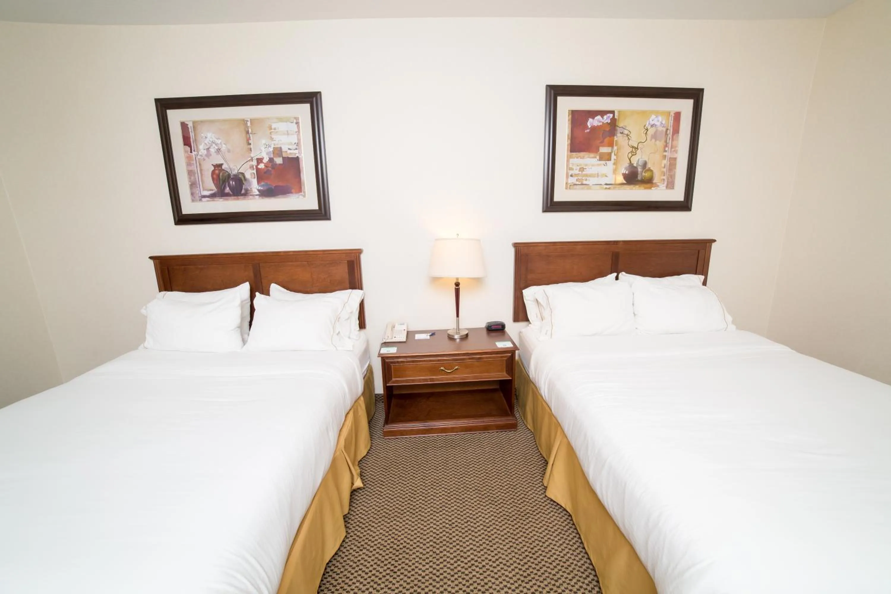 Bed in Holiday Inn Express & Suites Drayton Valley by IHG