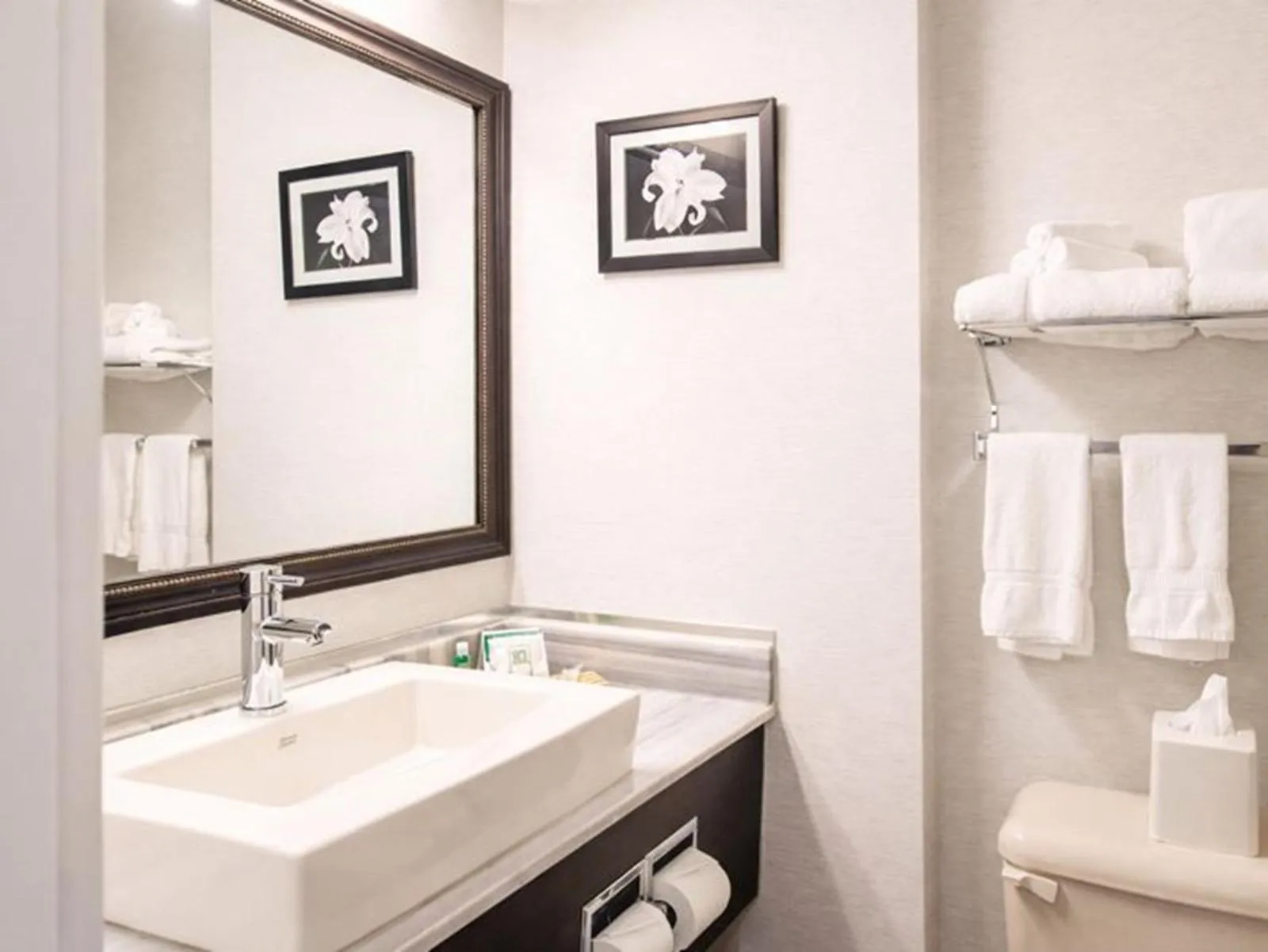 Bathroom in Quality Inn & Suites