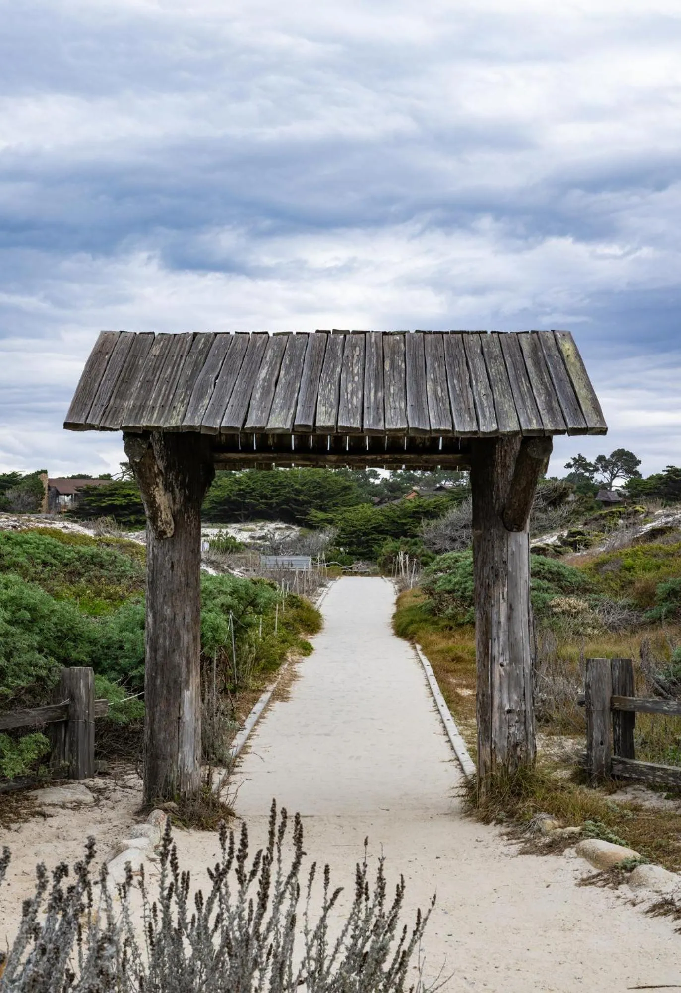 View (from property/room) in Asilomar Conference Grounds
