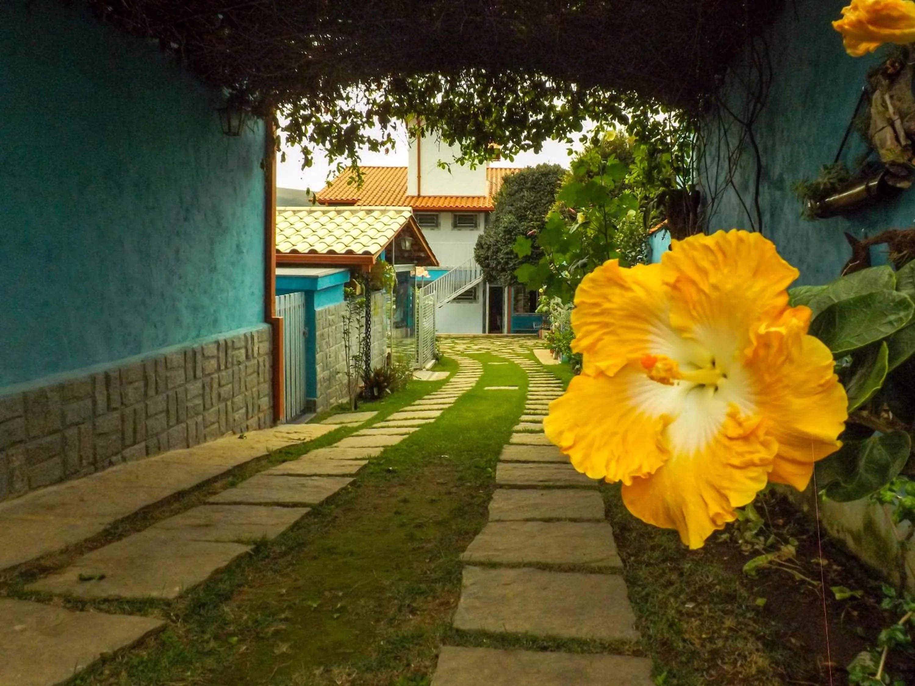 Águas de Carrancas FLATS