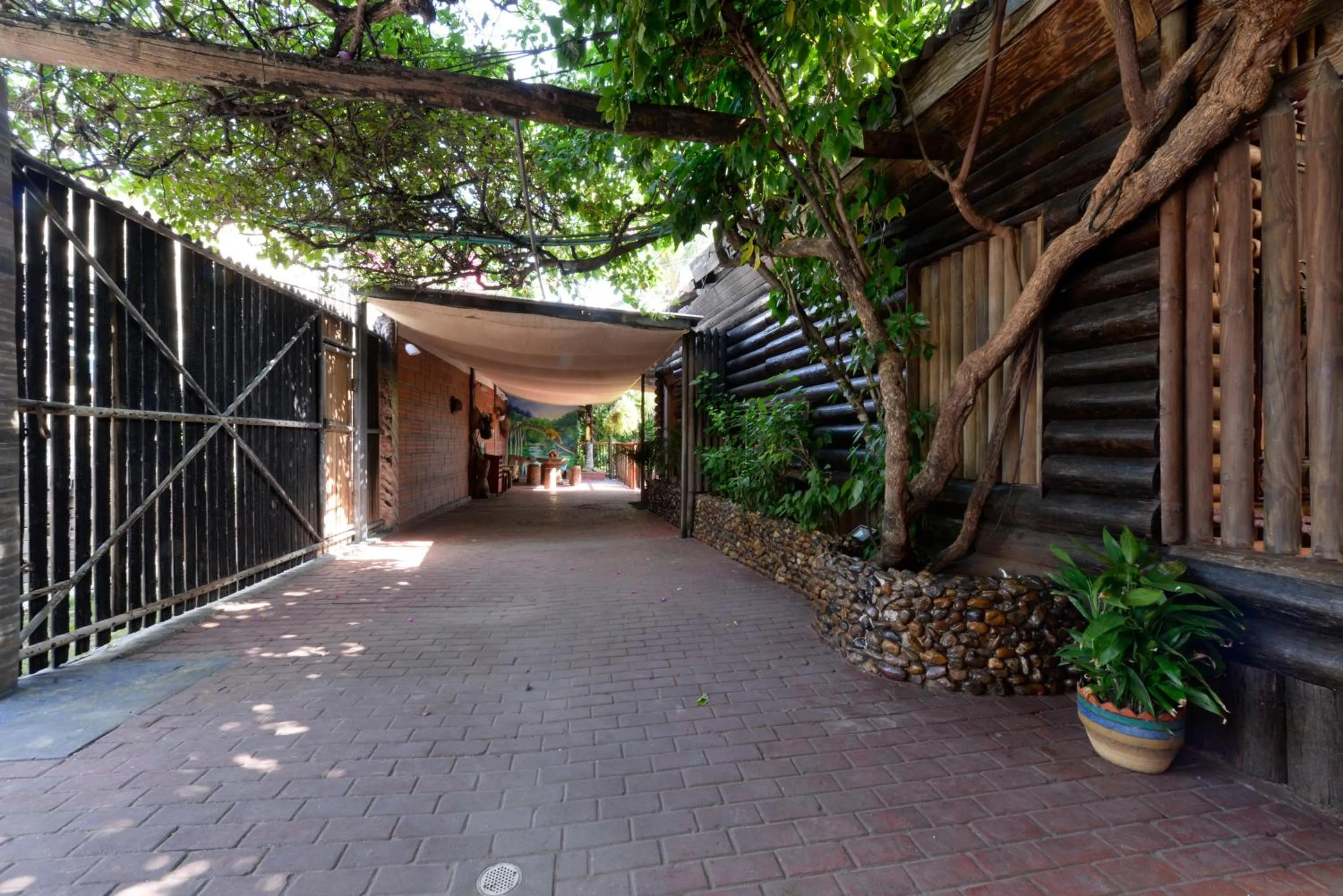 Balcony/Terrace in Posada Amaripucci