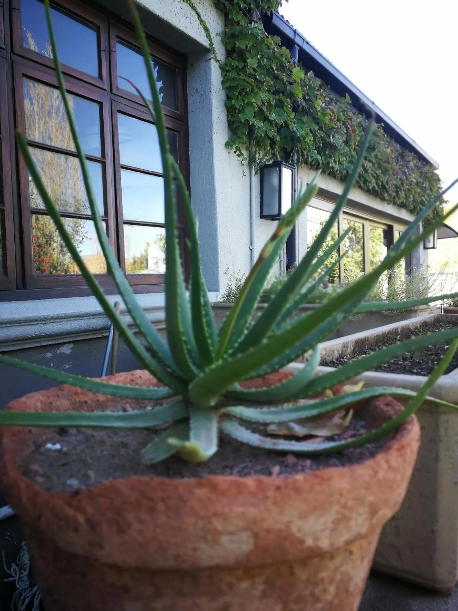 Garden in Old House Lodge