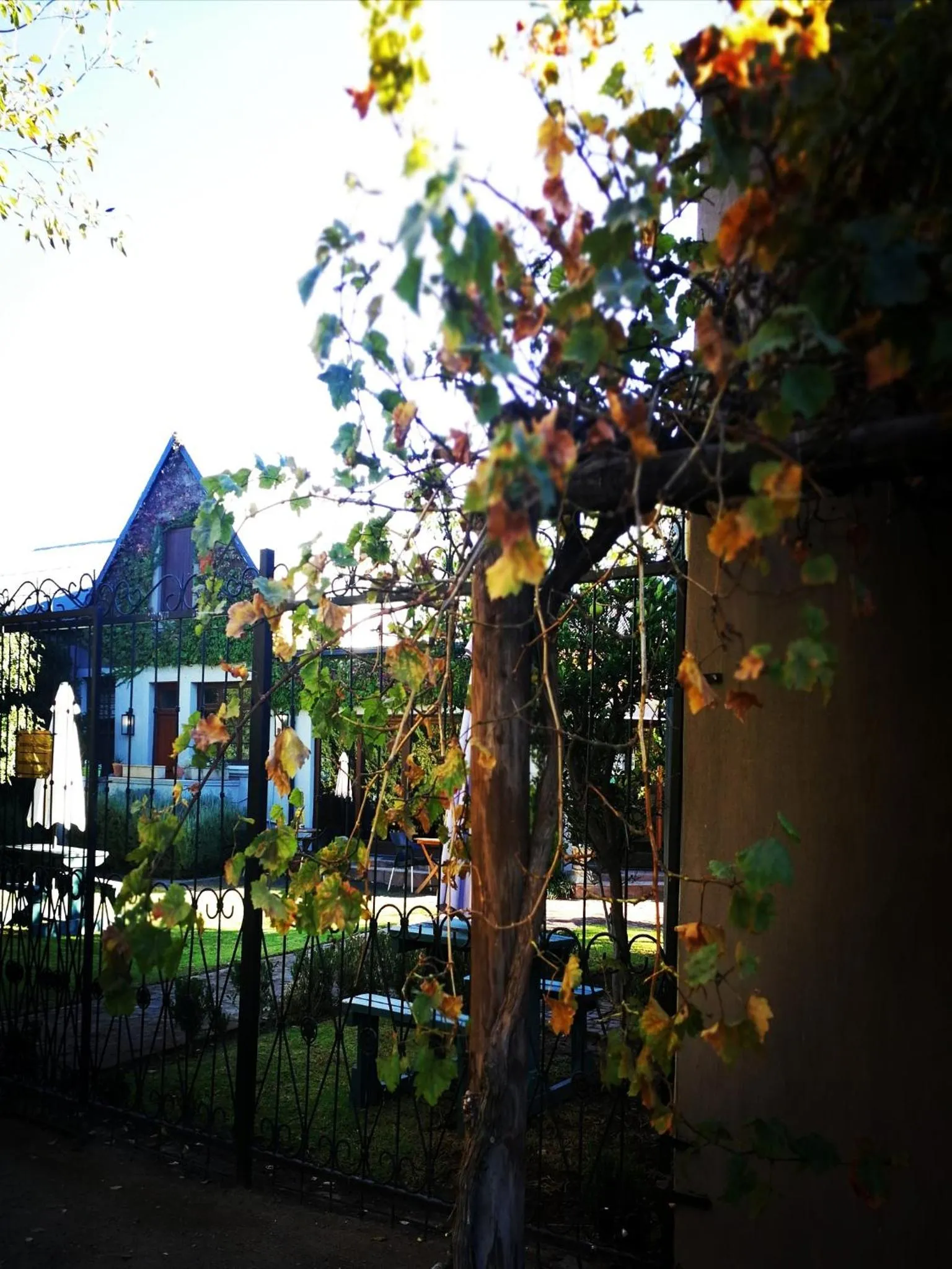 Property building in Old House Lodge