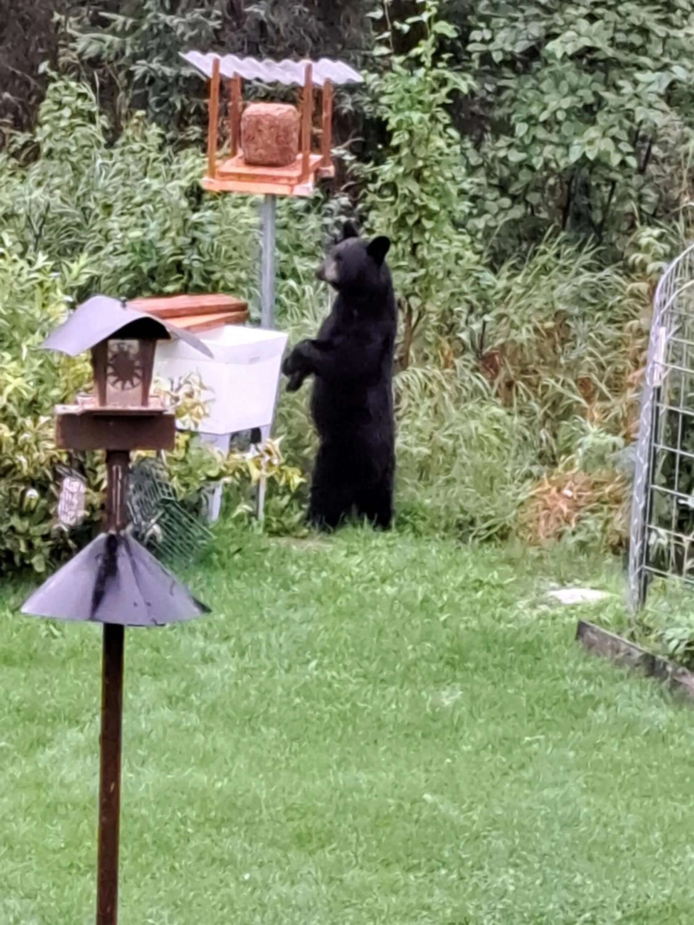 Garden in Southern Bluff Bed & Breakfast