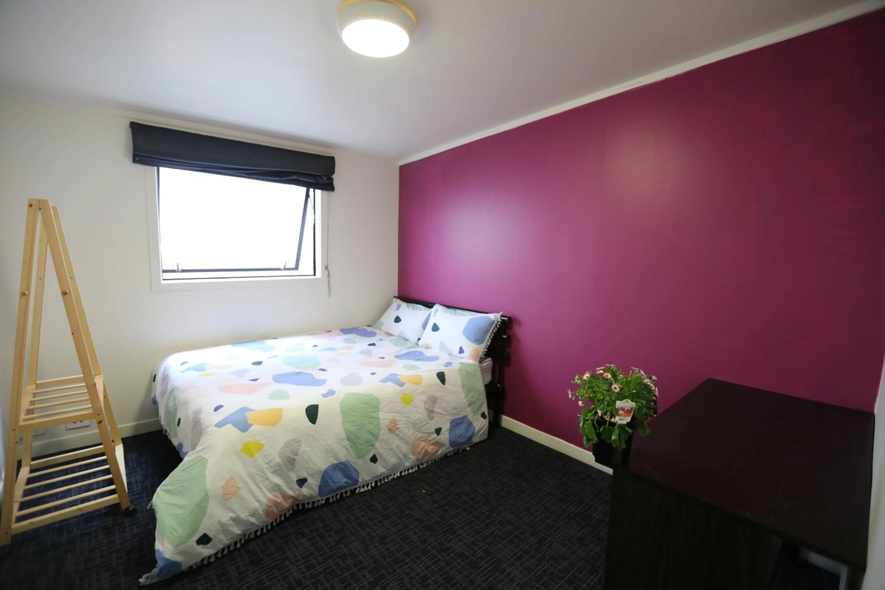 Bed in K Road City Travellers