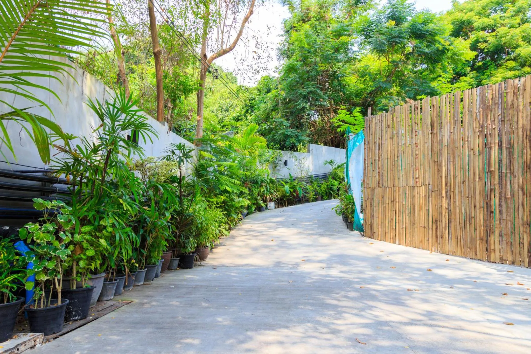 Floor plan in Avatara Resort