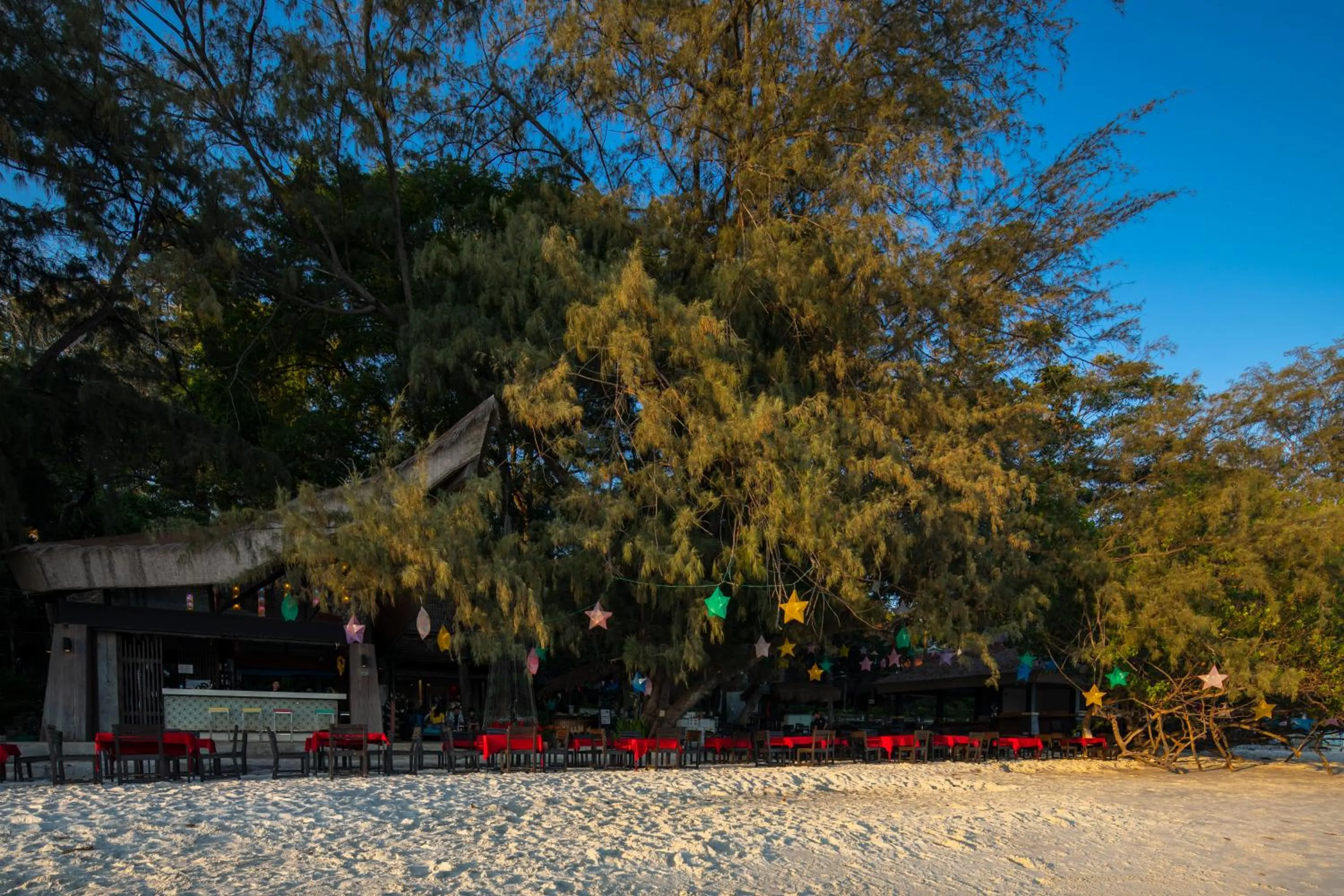 Restaurant/places to eat in Avatara Resort