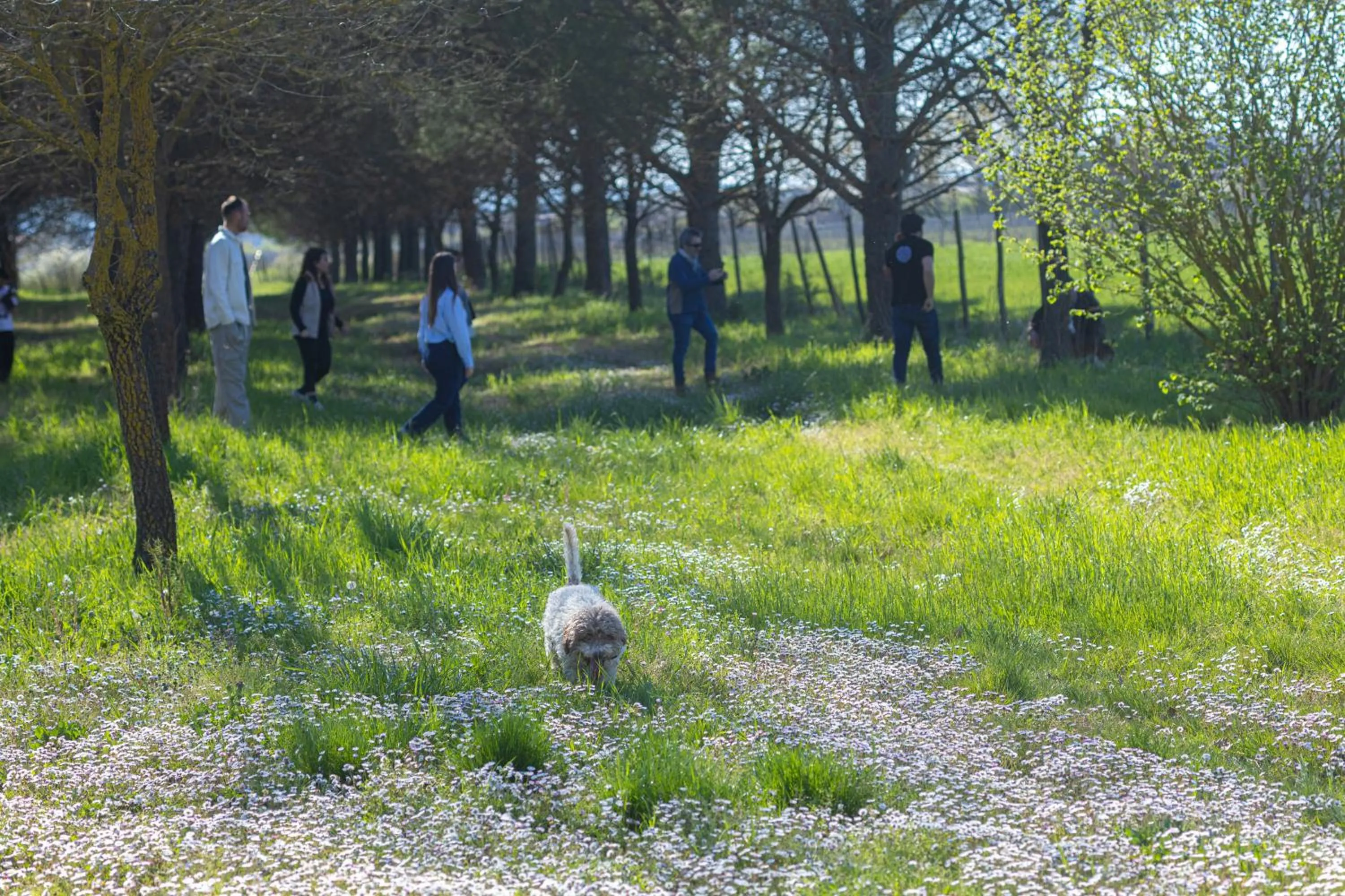Activities in B&B Il Molinello