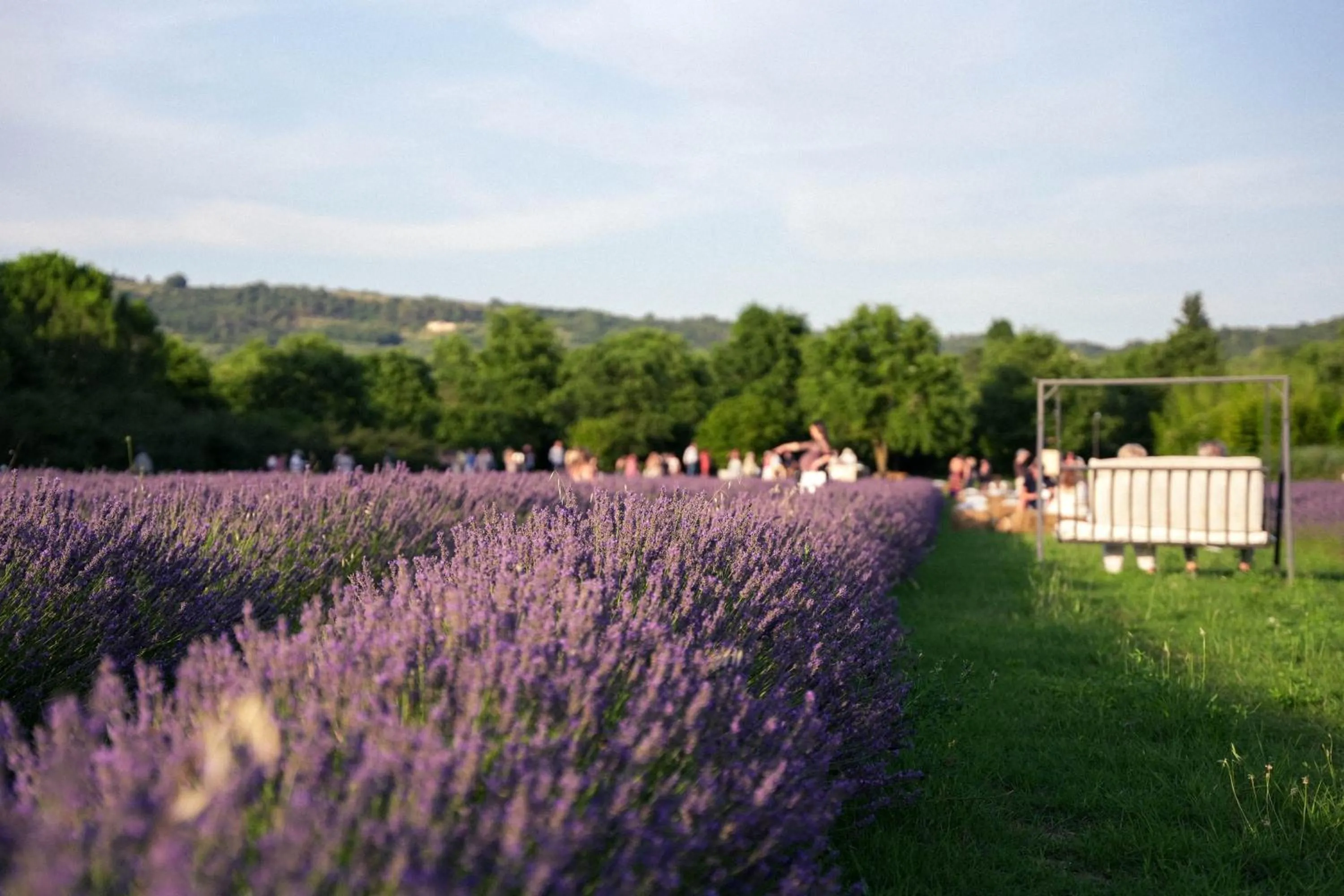 Garden view in B&B Il Molinello