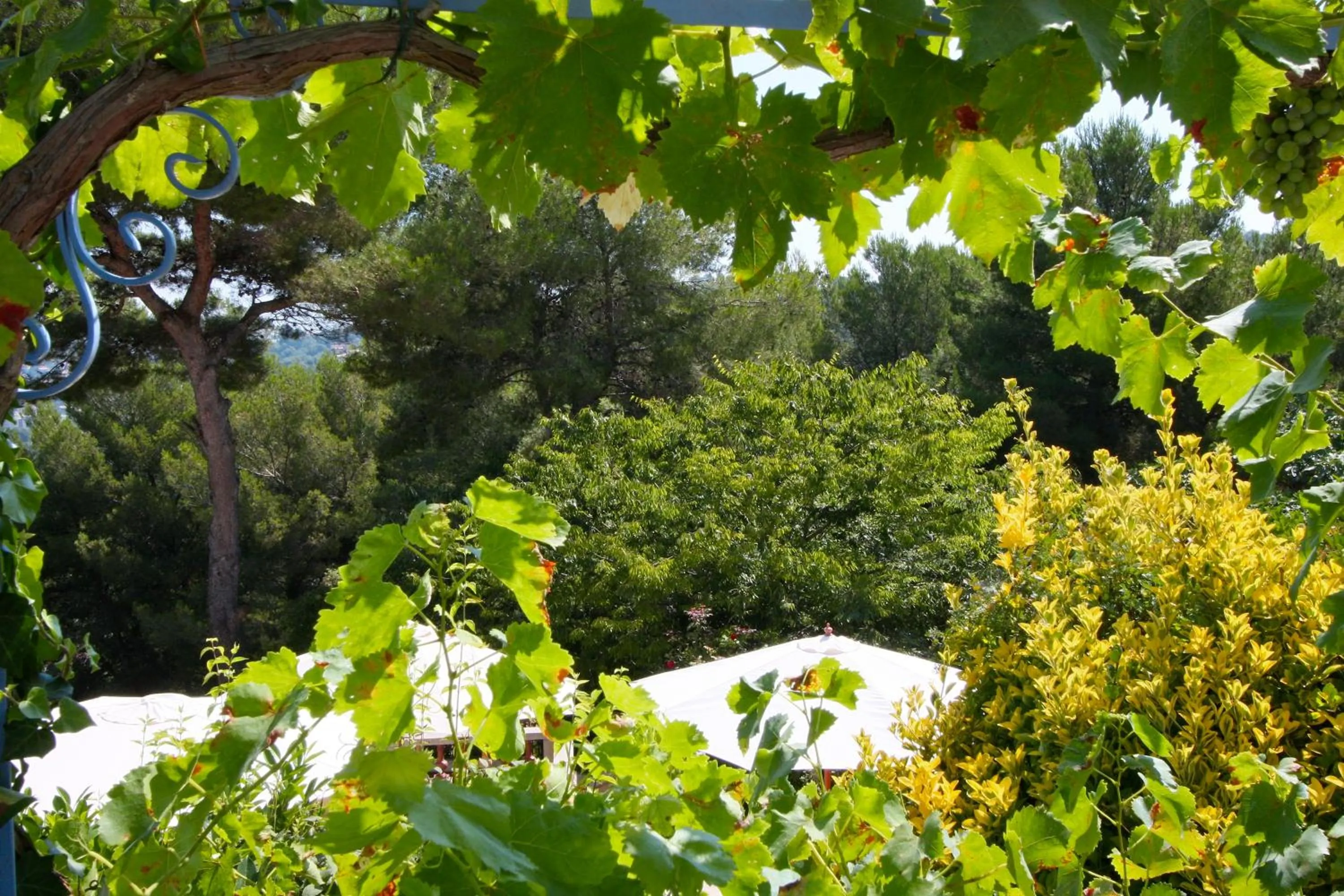 Garden view in Villa Le Port d'attache