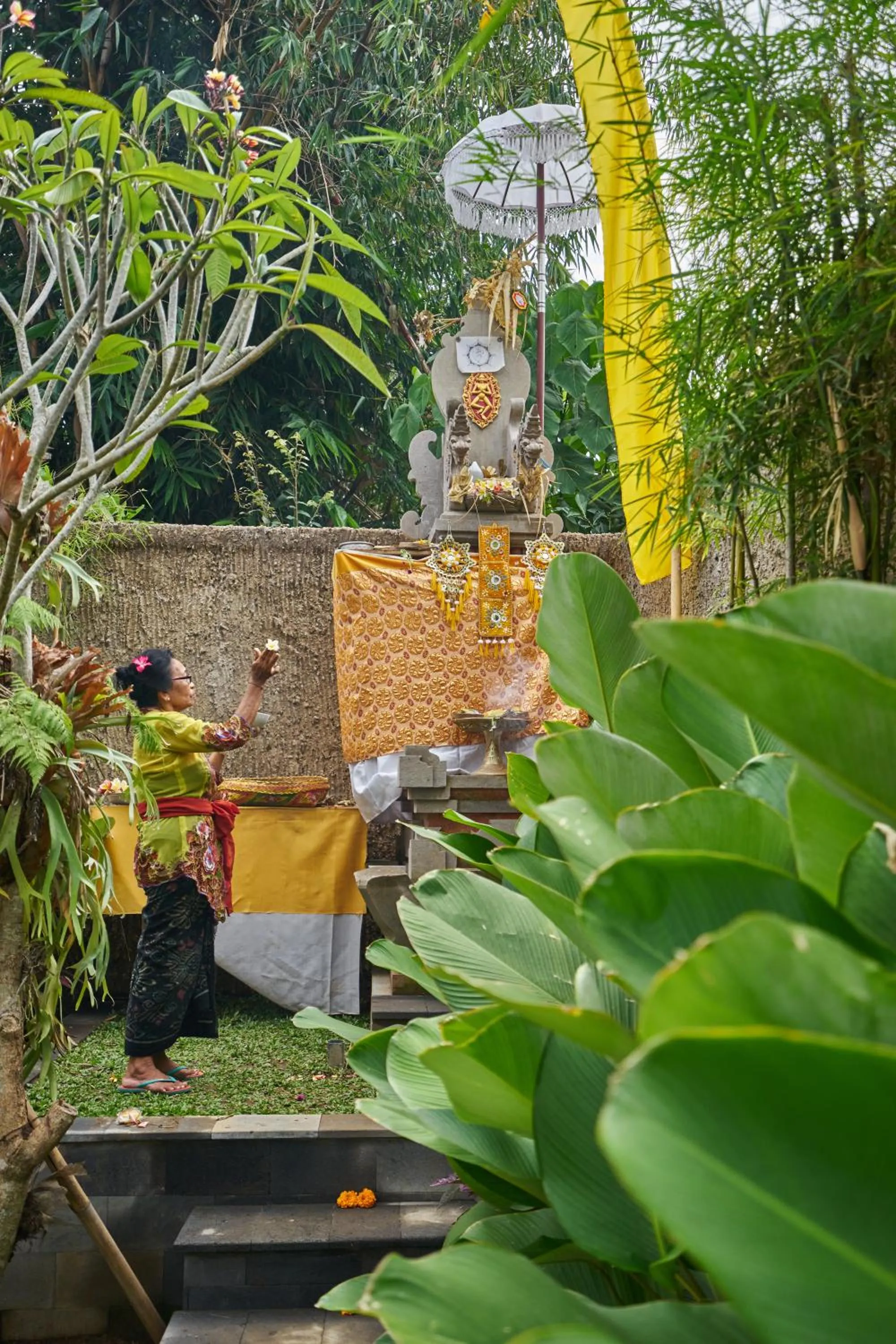 Activities in Jungle Haven Resort Central Ubud