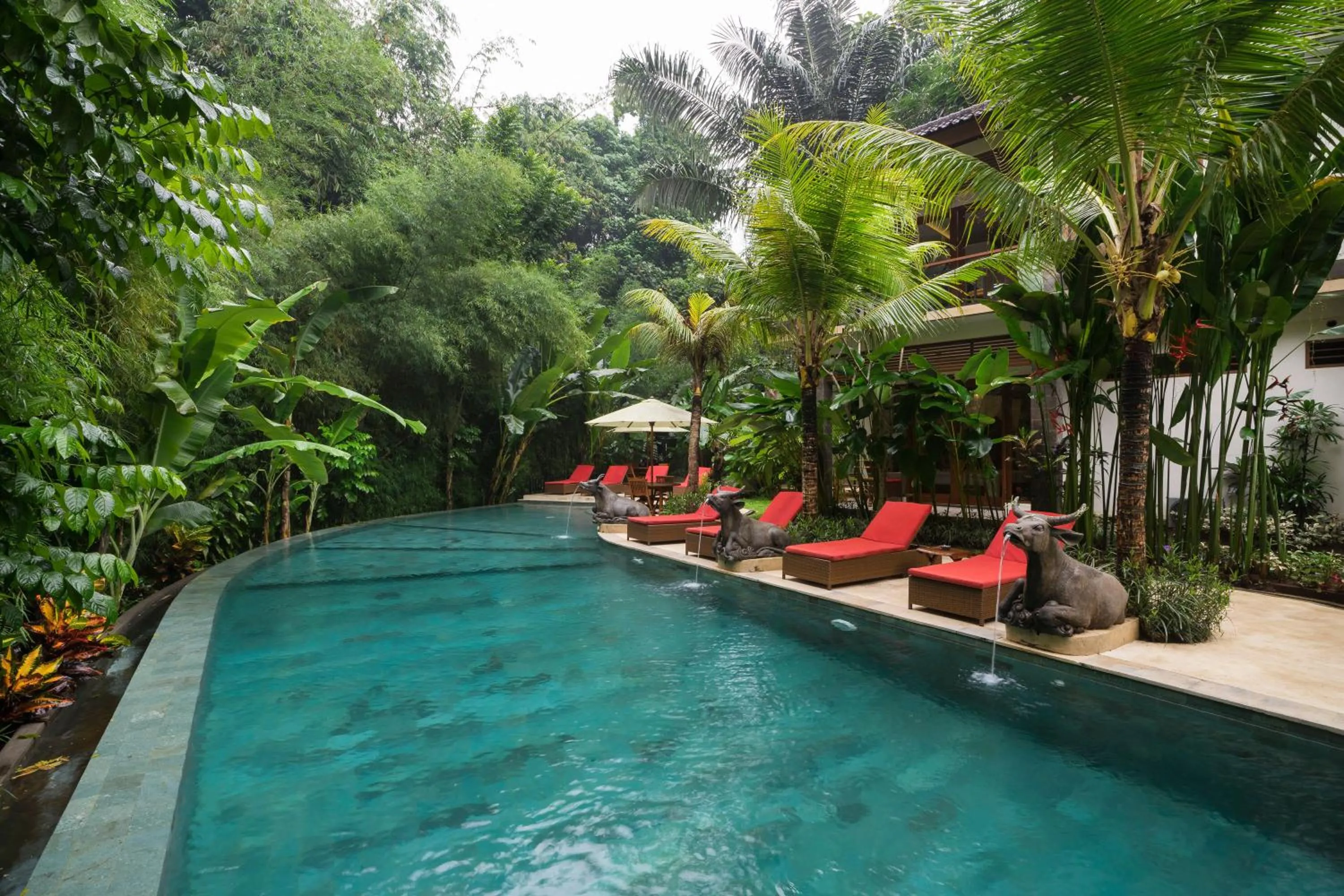 Balcony/Terrace in Jungle Haven Resort Central Ubud