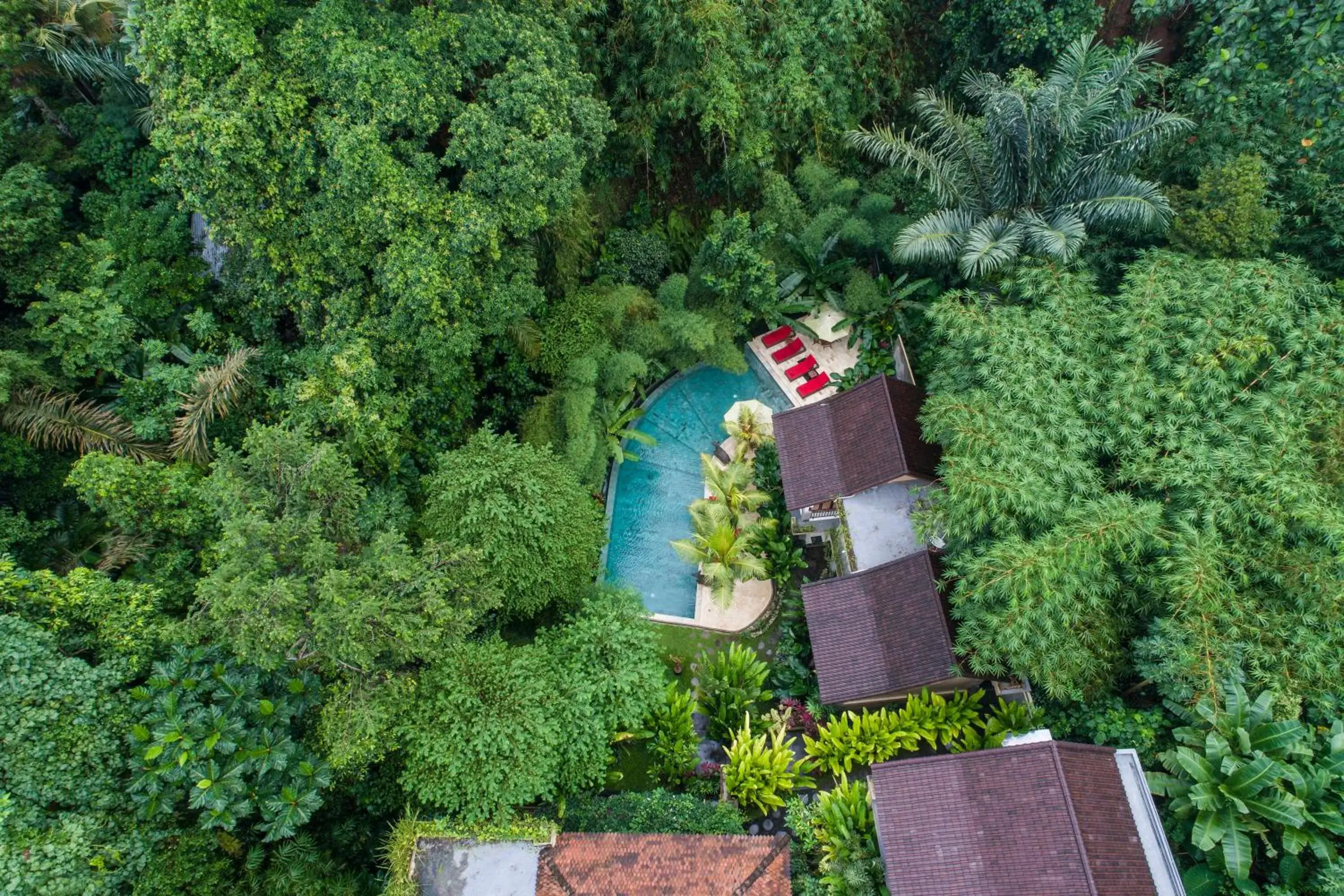 Bird's eye view in Jungle Haven Resort Central Ubud Bird's eye view in Jungle Haven Resort Central Ubud