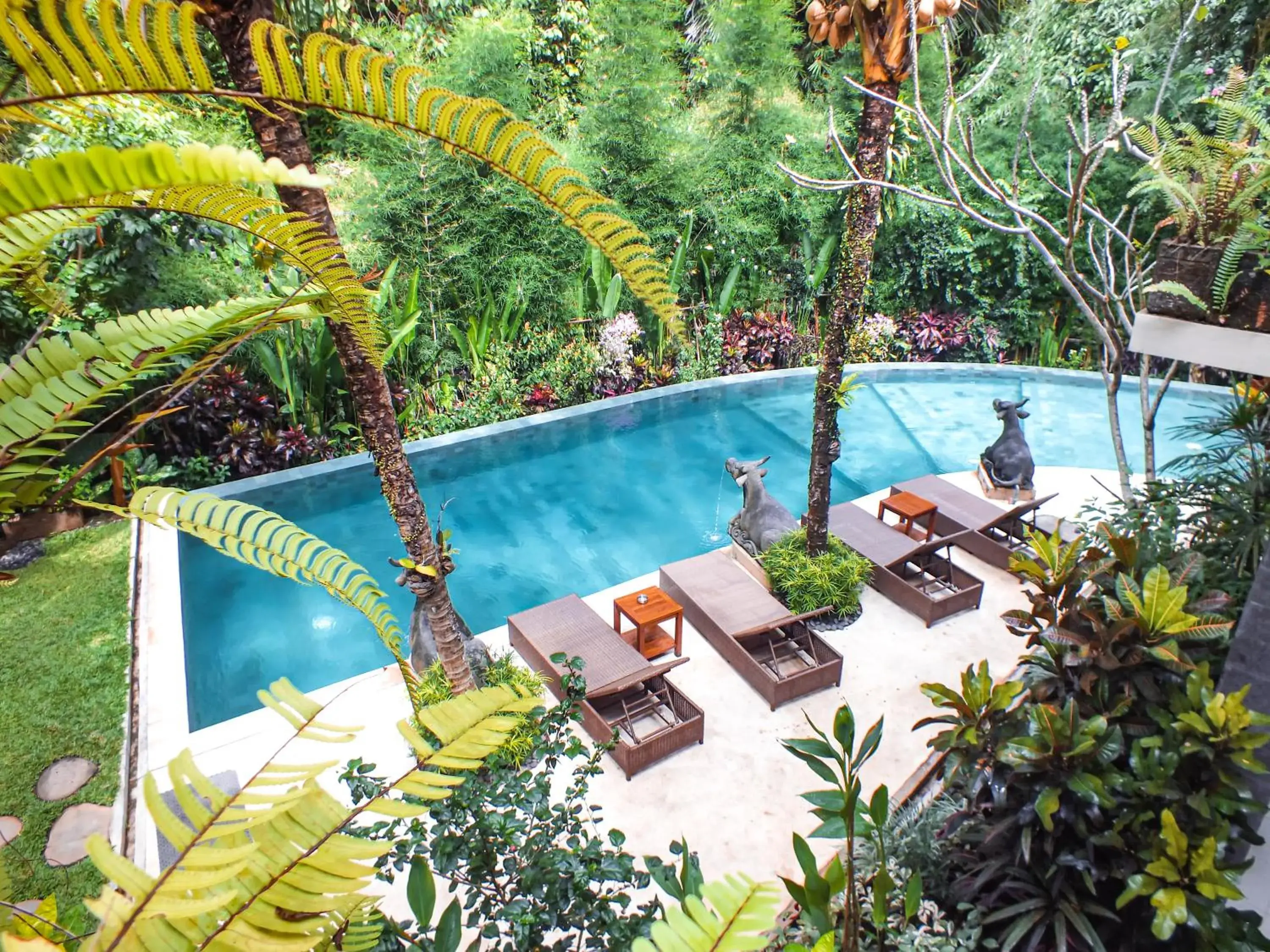 Pool view in Jungle Haven Resort Central Ubud Pool view in Jungle Haven Resort Central Ubud