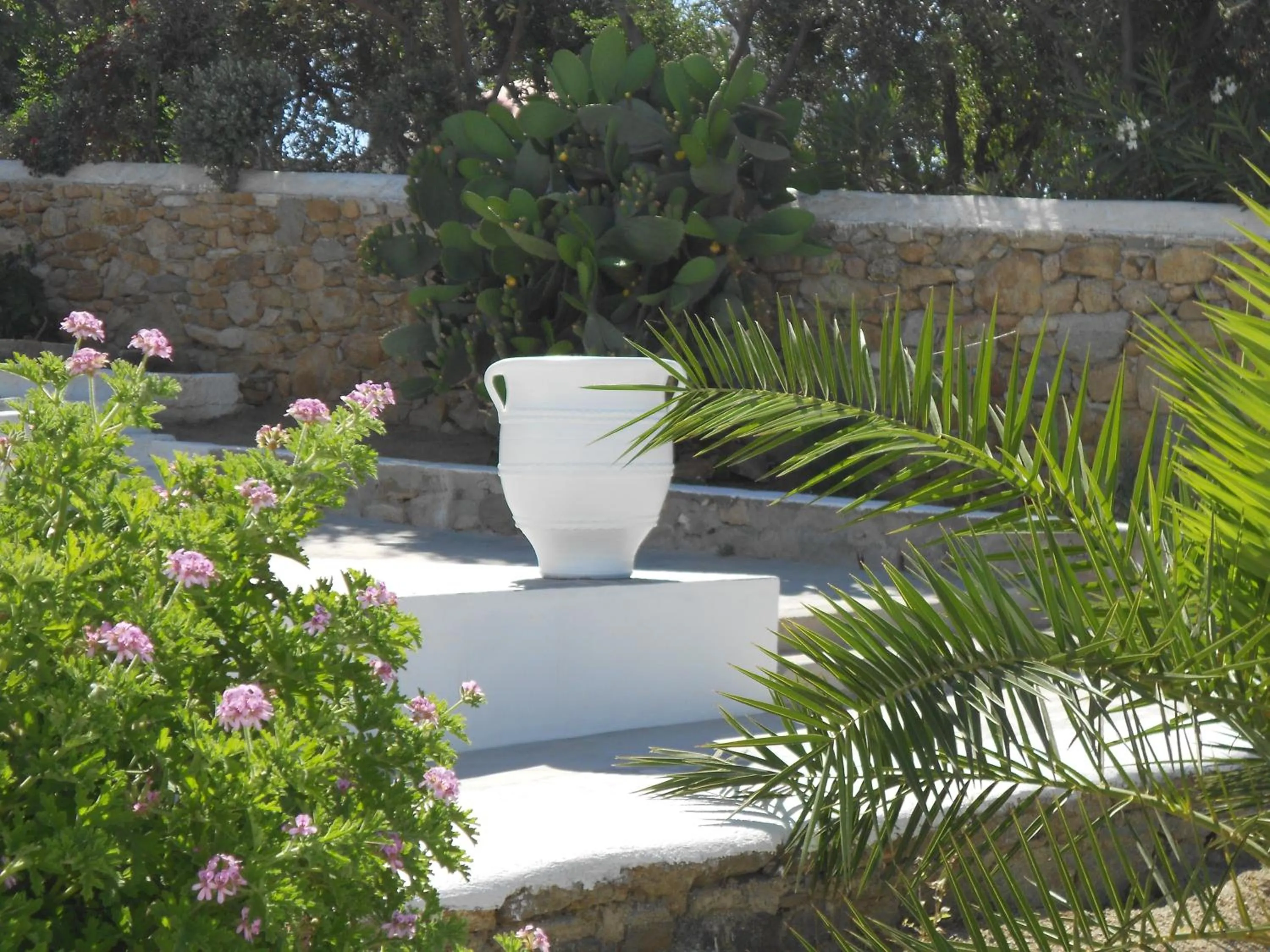 Garden in Casa Bianca