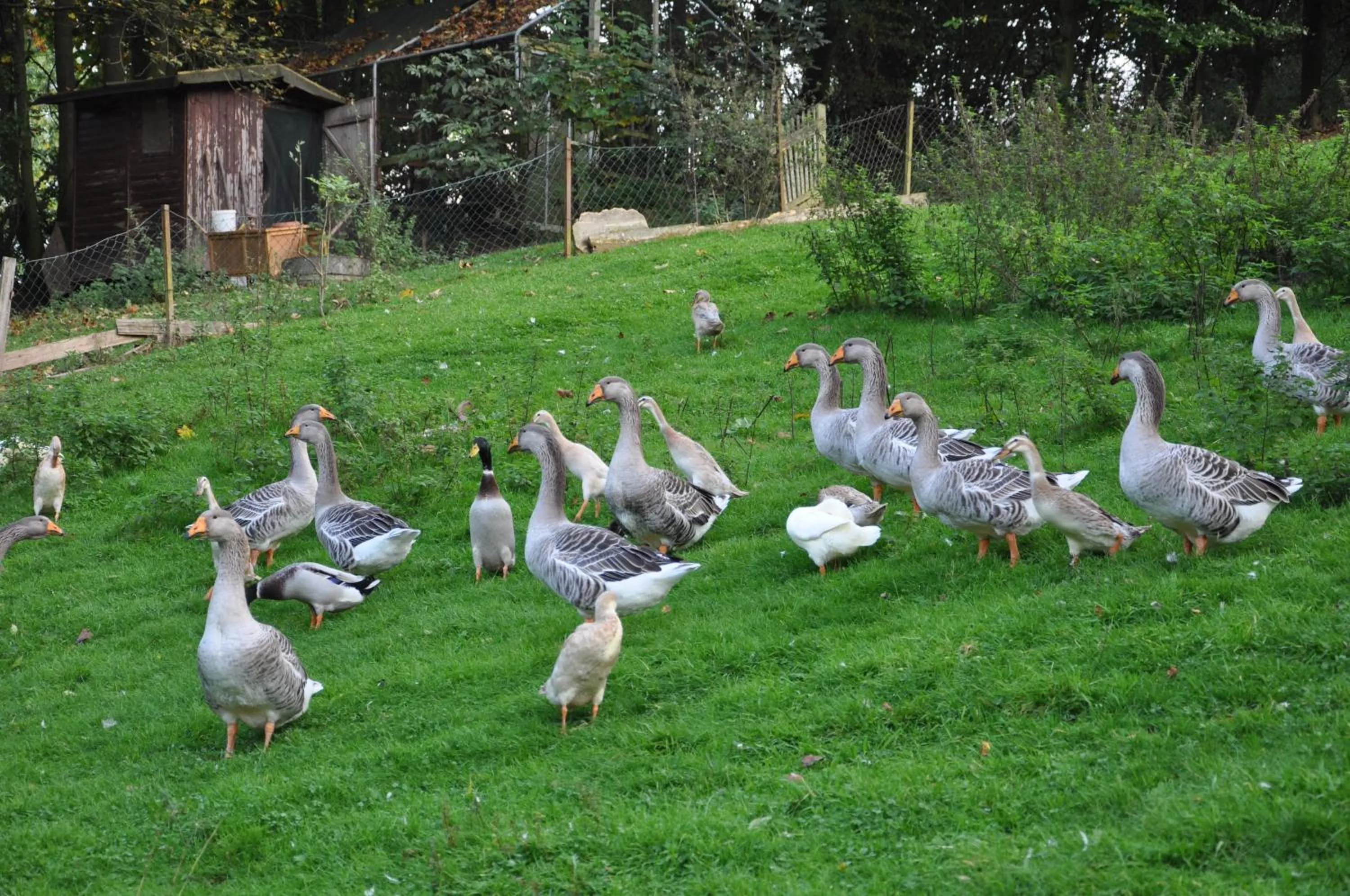 Area and facilities in Hotel Jägerklause