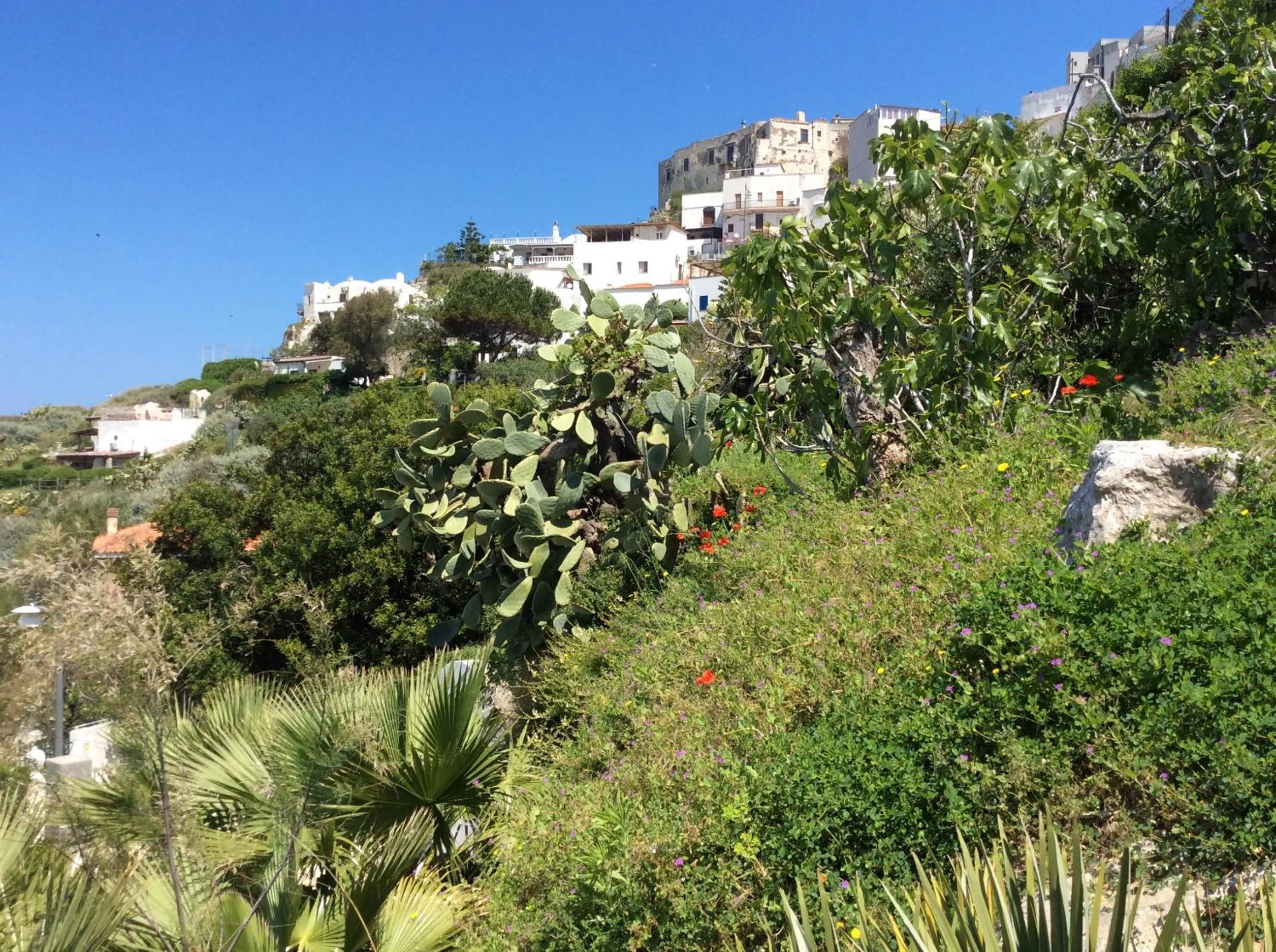 City view in Hotel Elisa - Spiaggia Privata Inclusa