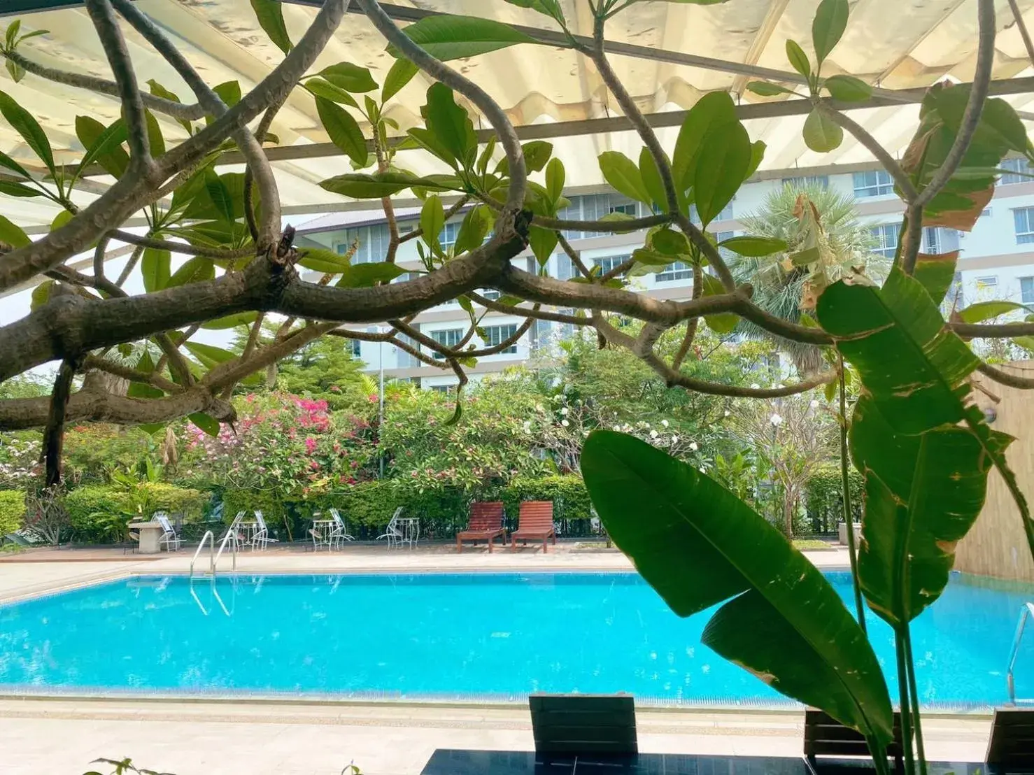 Swimming pool in J Park Hotel - SHA Extra Plus Swimming pool in J Park Hotel - SHA Extra Plus