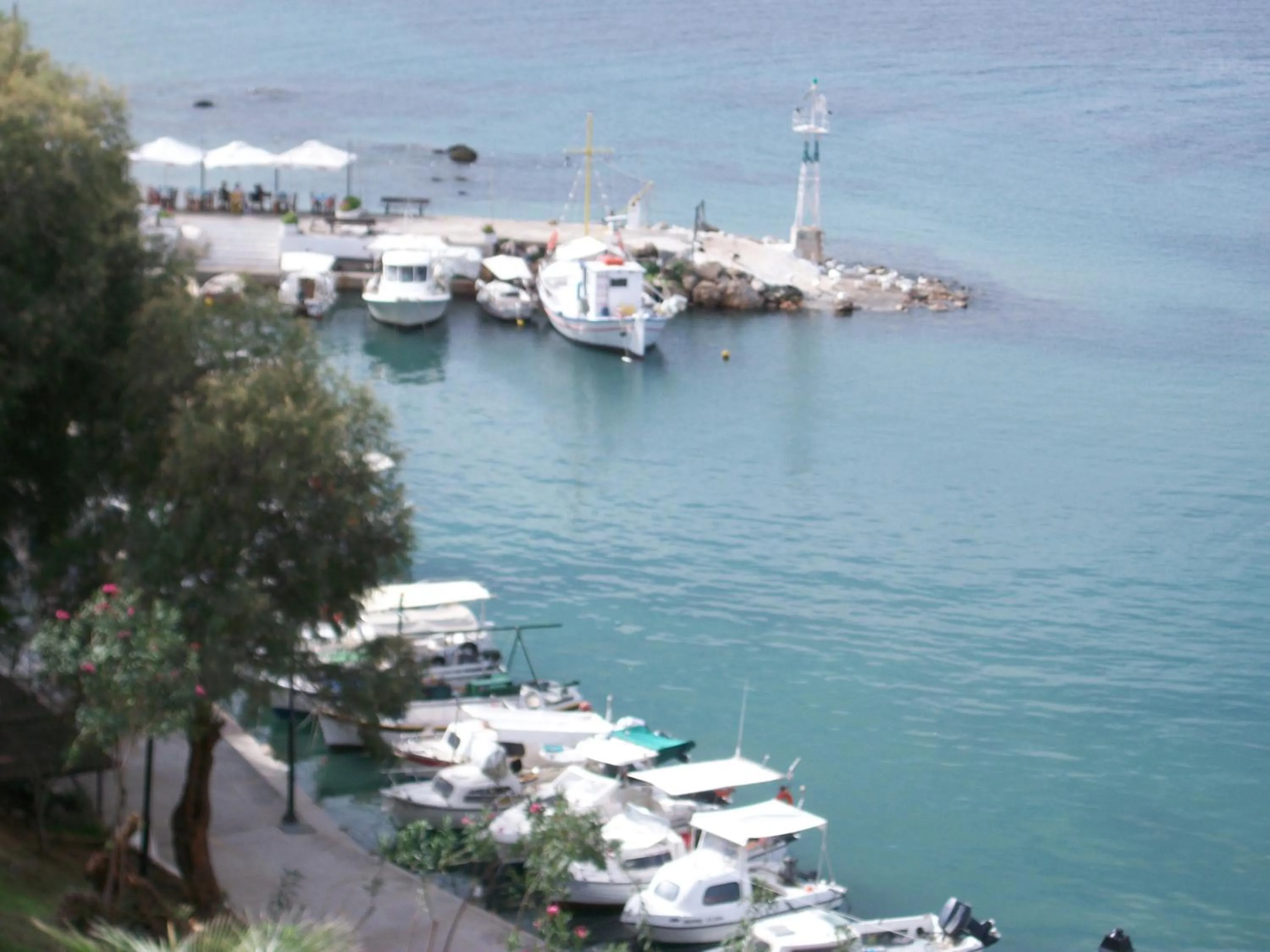 Day in Arocaria Apartments