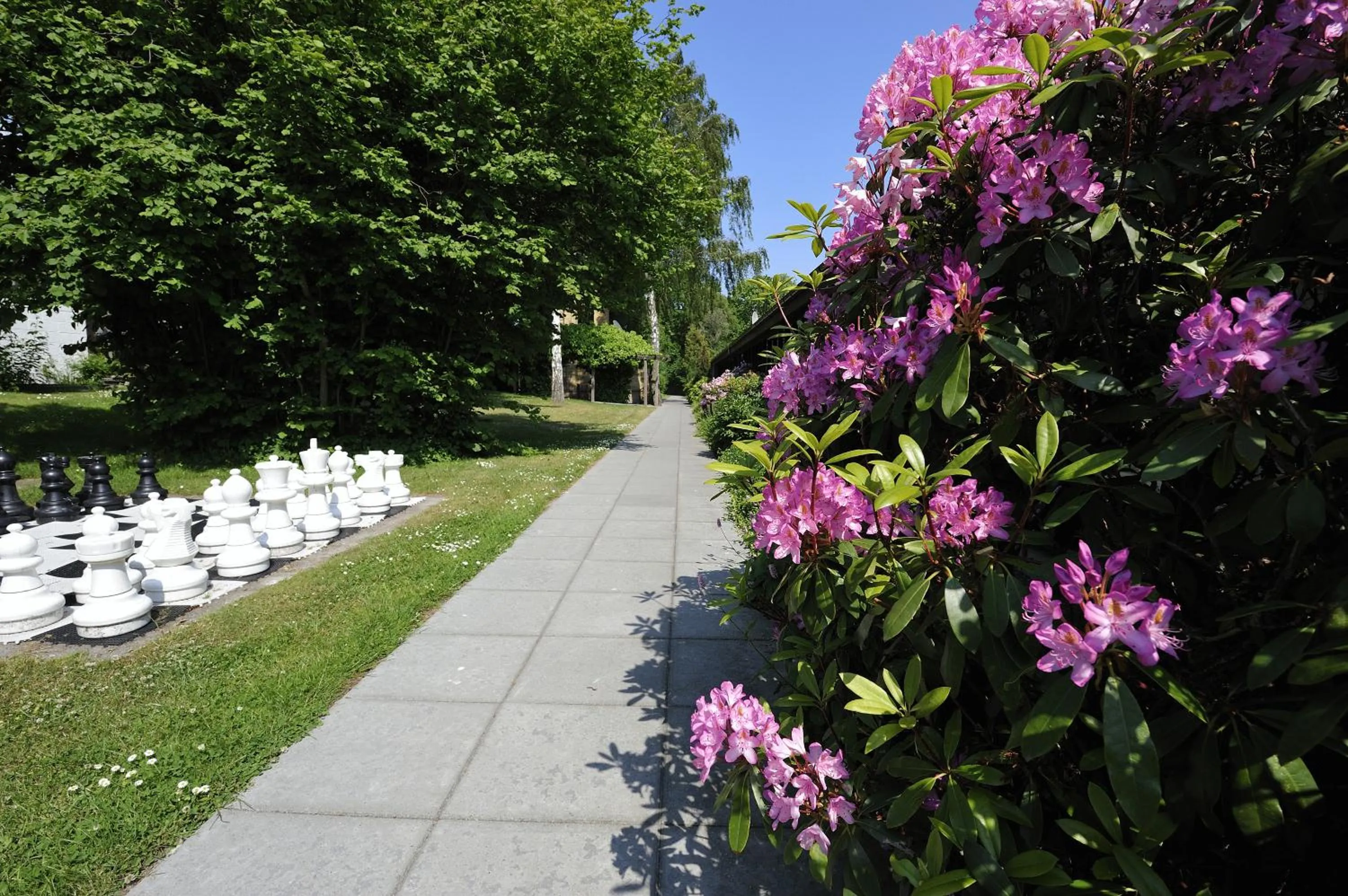 Garden in Hotel Balka Strand