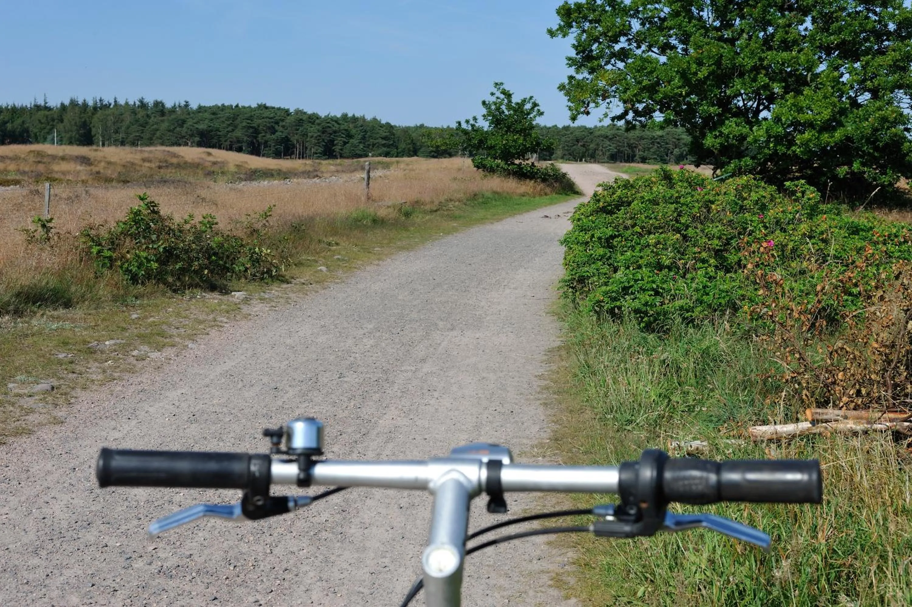 Cycling in Hotel Balka Strand