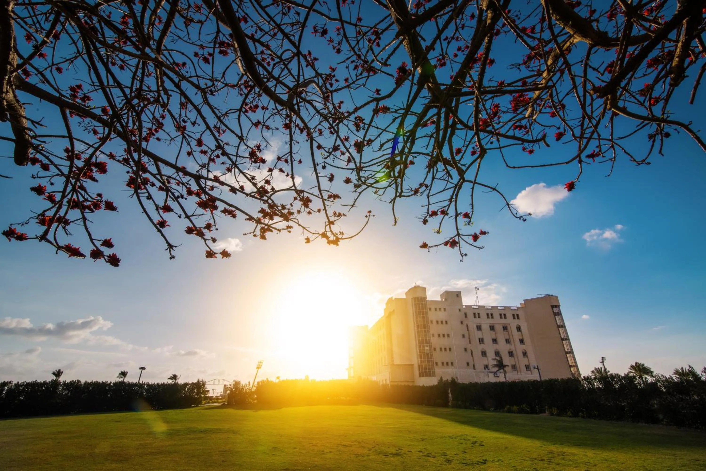 Tolip Family Club Borg El Arab