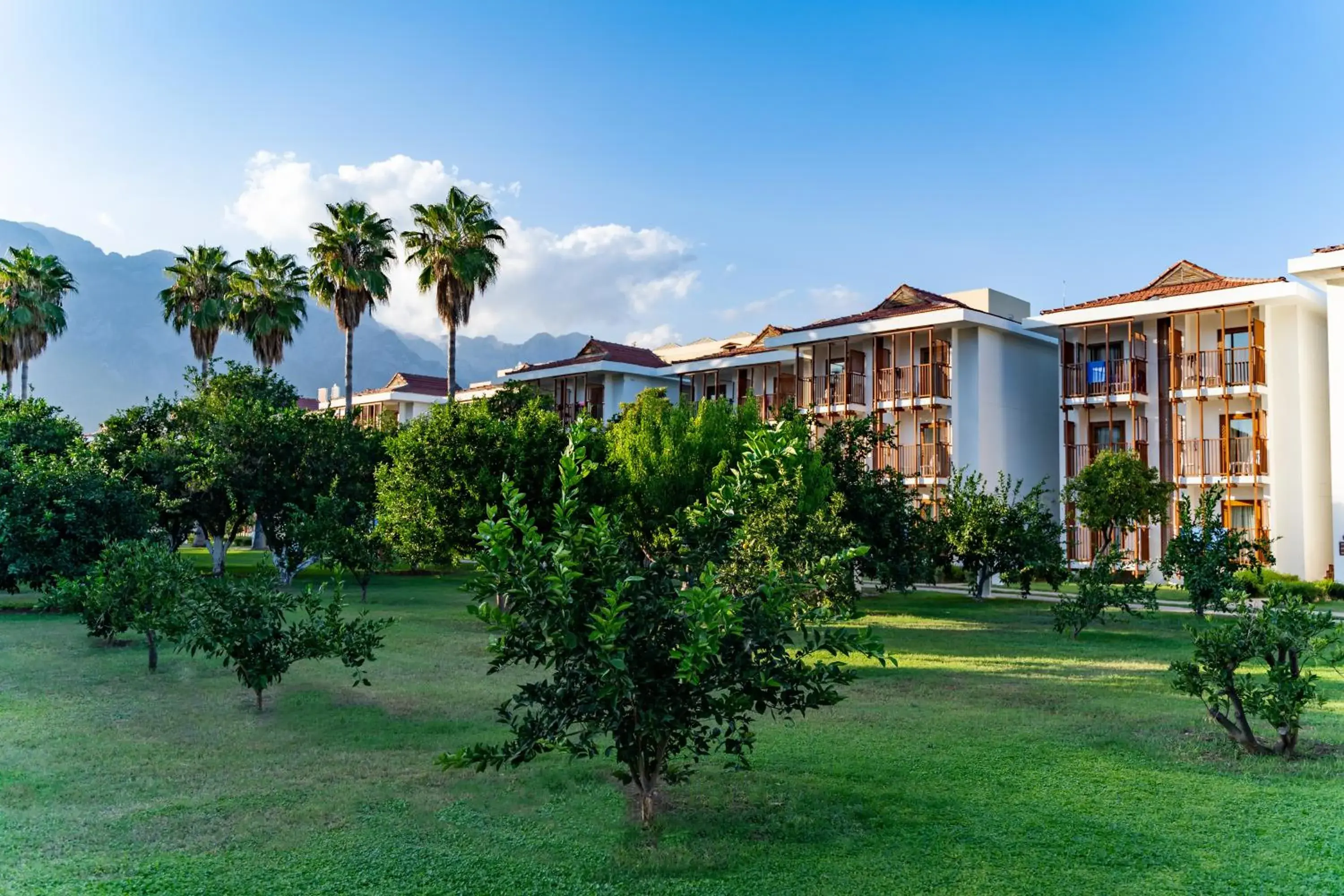 Property building in AQI Hydros Club Property building in AQI Hydros Club