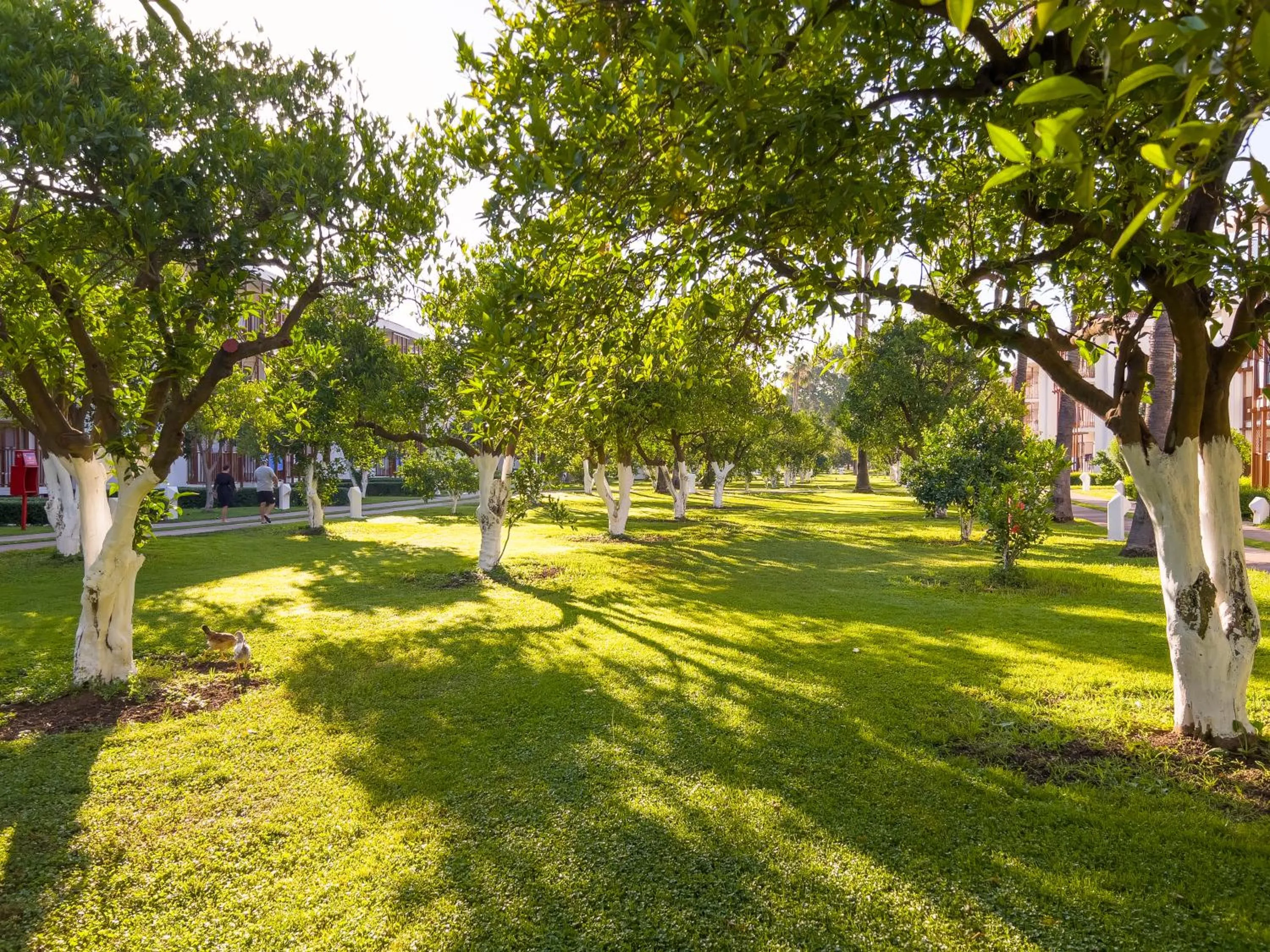 Garden in Corendon Hydros Club Kemer