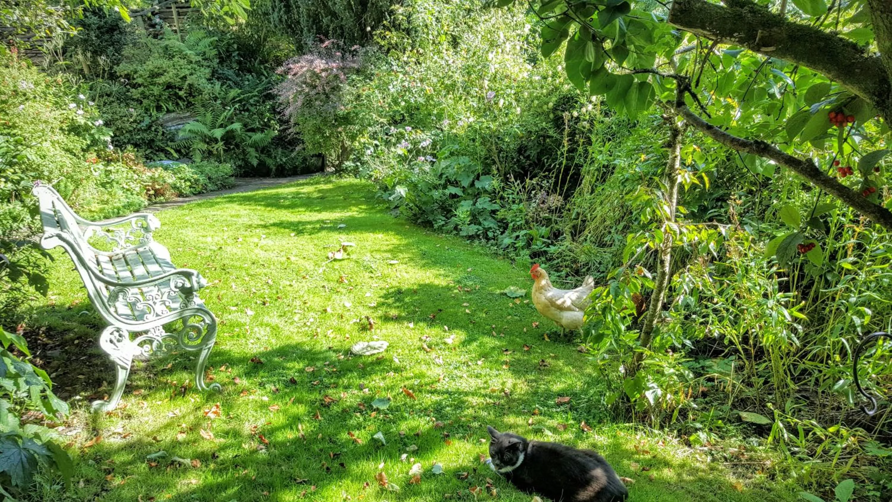 Garden in Tracebridge Cottage B&B