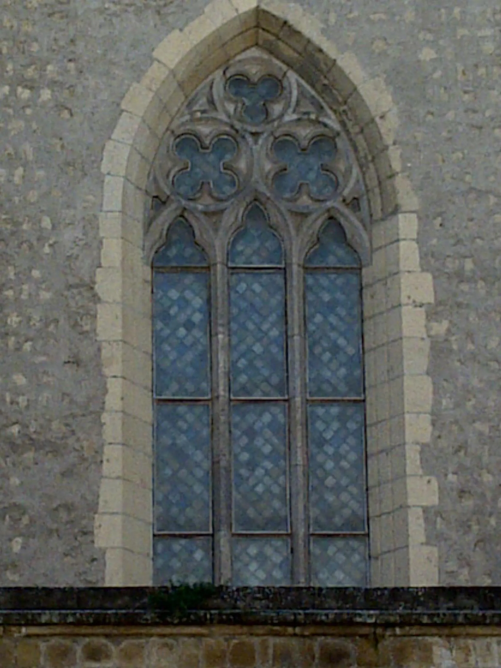 Area and facilities in Hotel Meublè Santa Chiara Suite