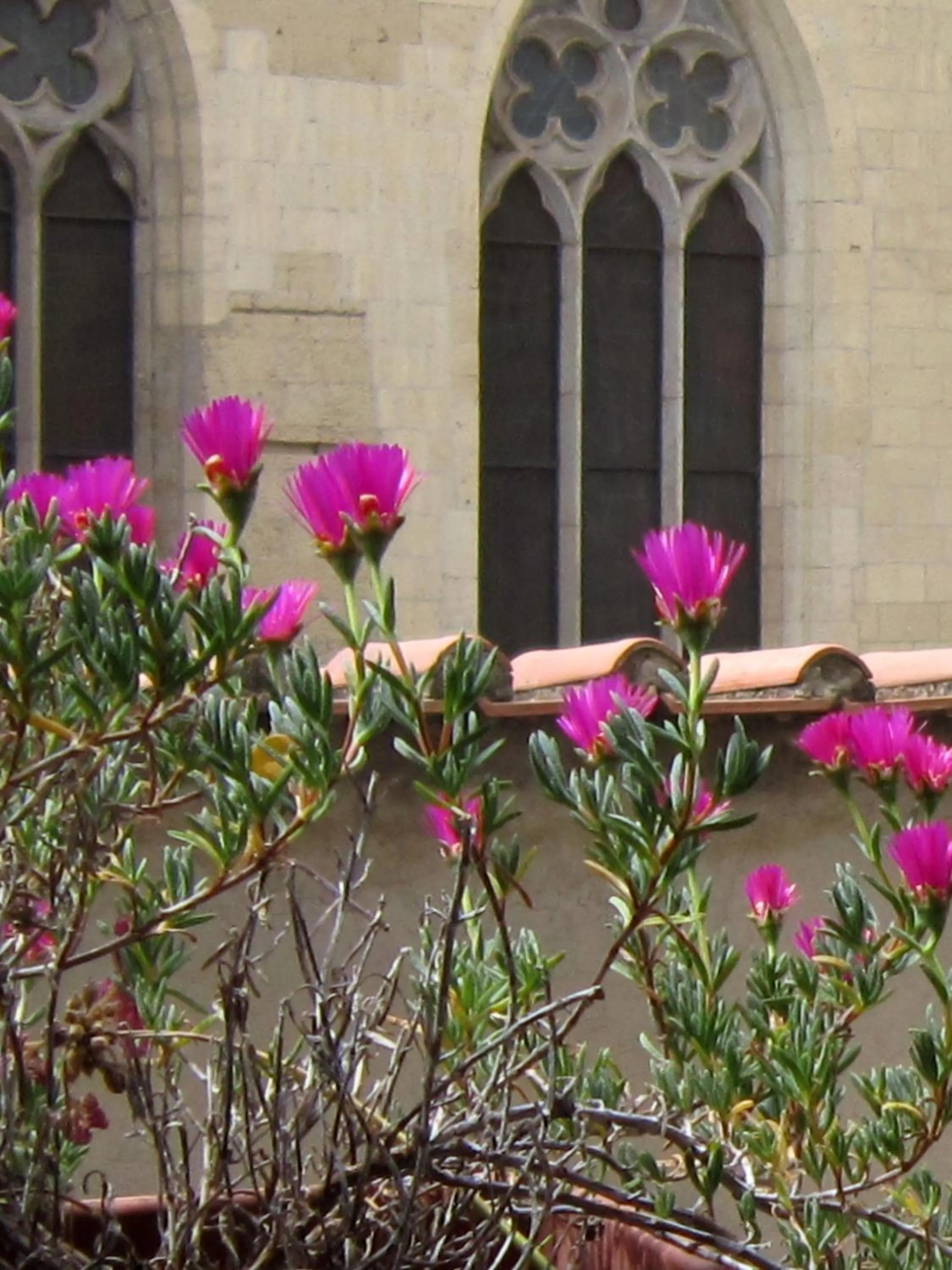 Area and facilities in Hotel Meublè Santa Chiara Suite
