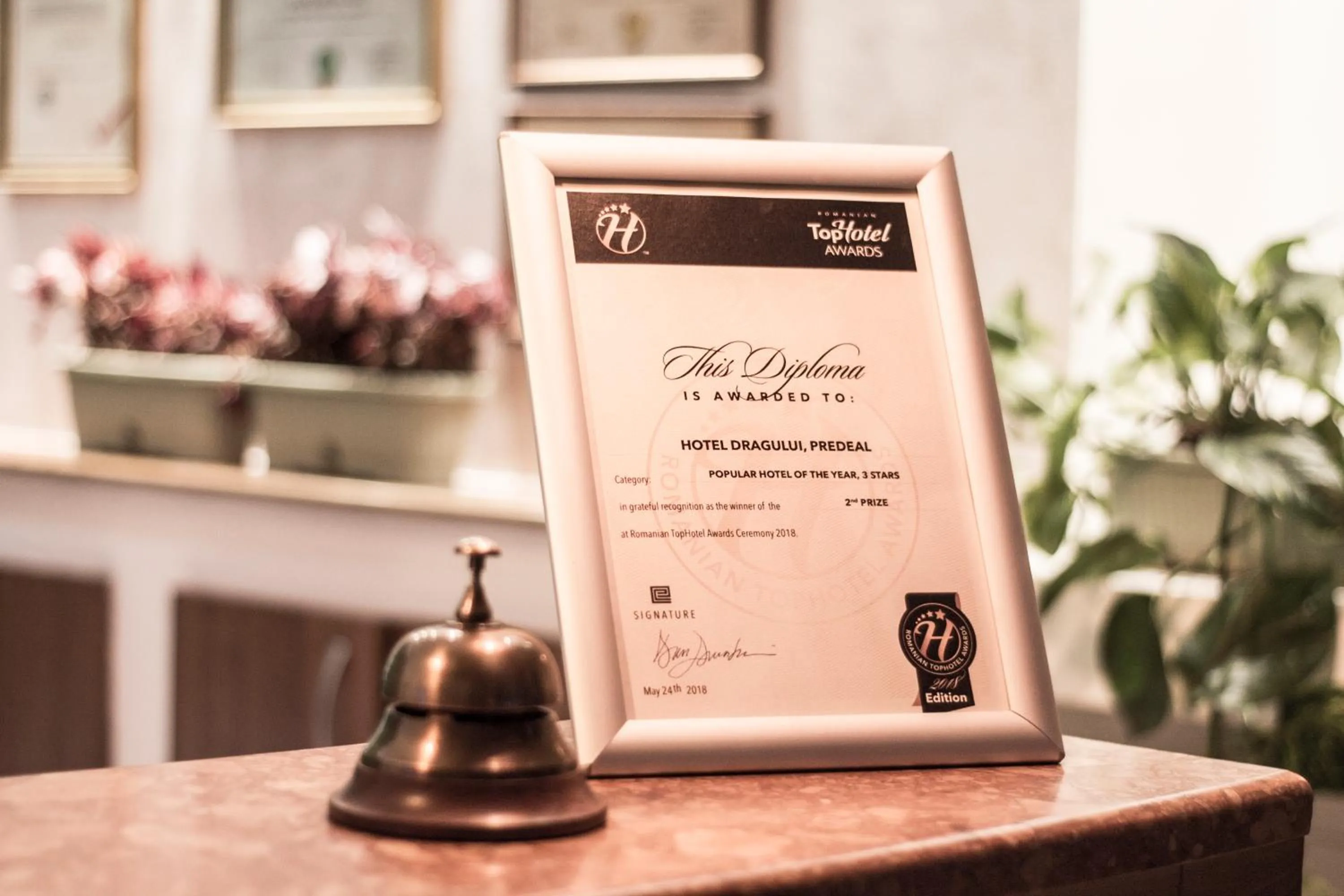 Day in Hotel Dragului