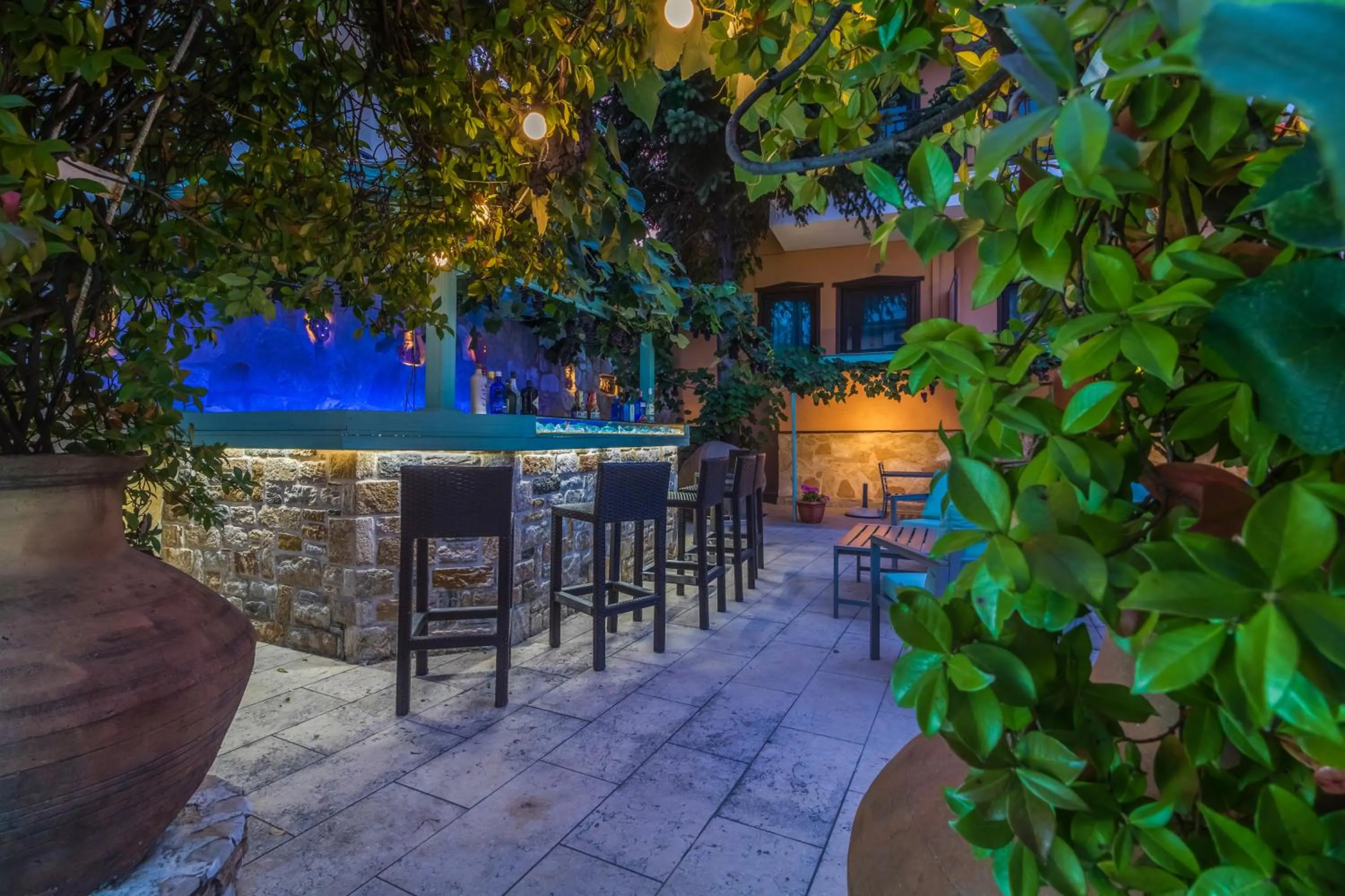 Night in Hotel Pegasus-Adult Friendly