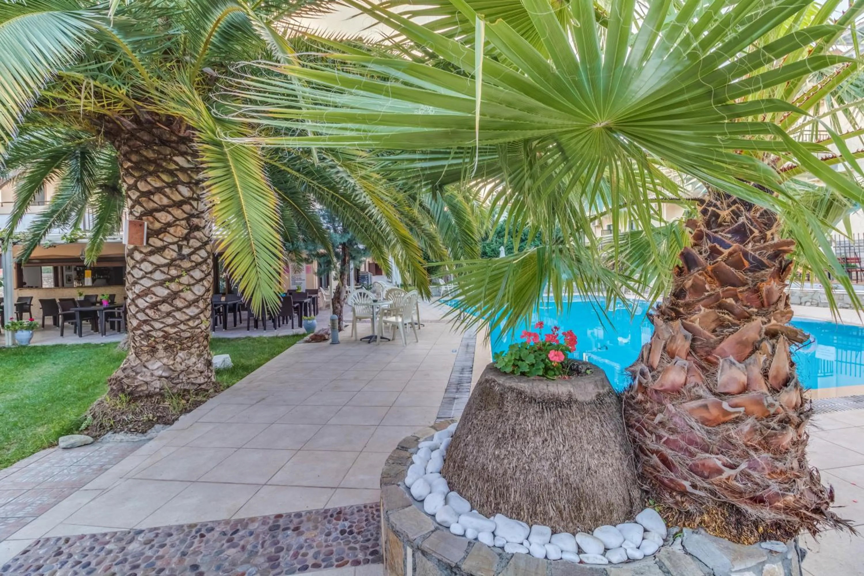 Swimming pool in Hotel Pegasus-Adult Friendly