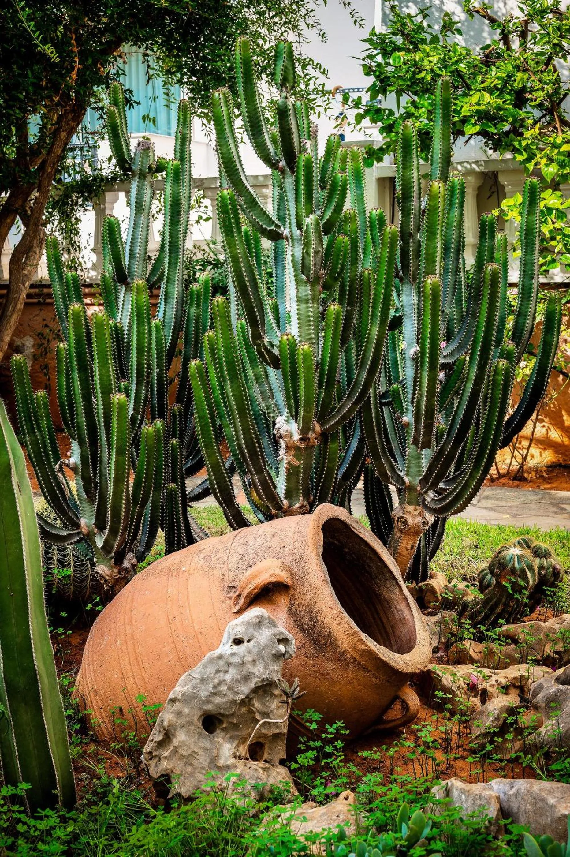 Property building in Malia Mare Hotel