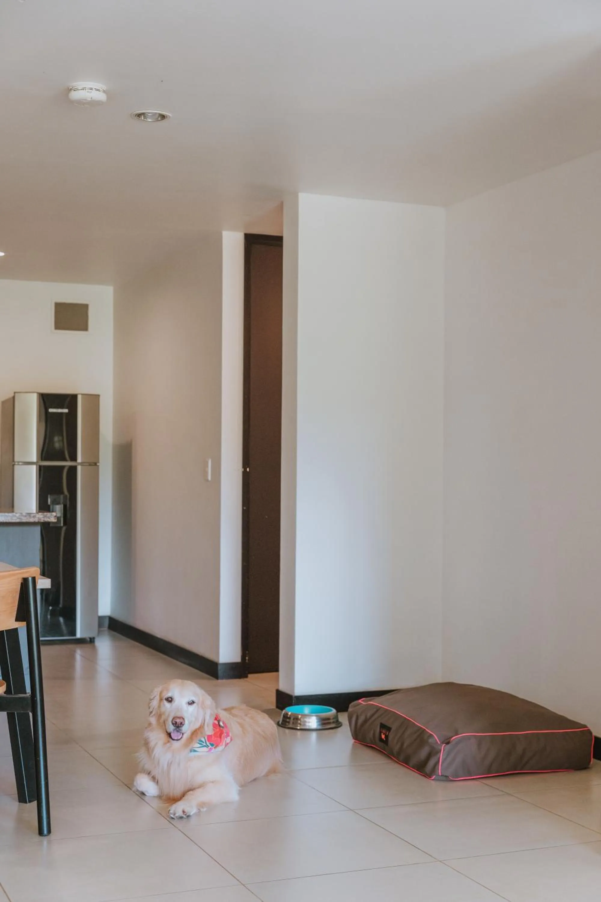 Animals in Travelers Rio Verde Living Suites